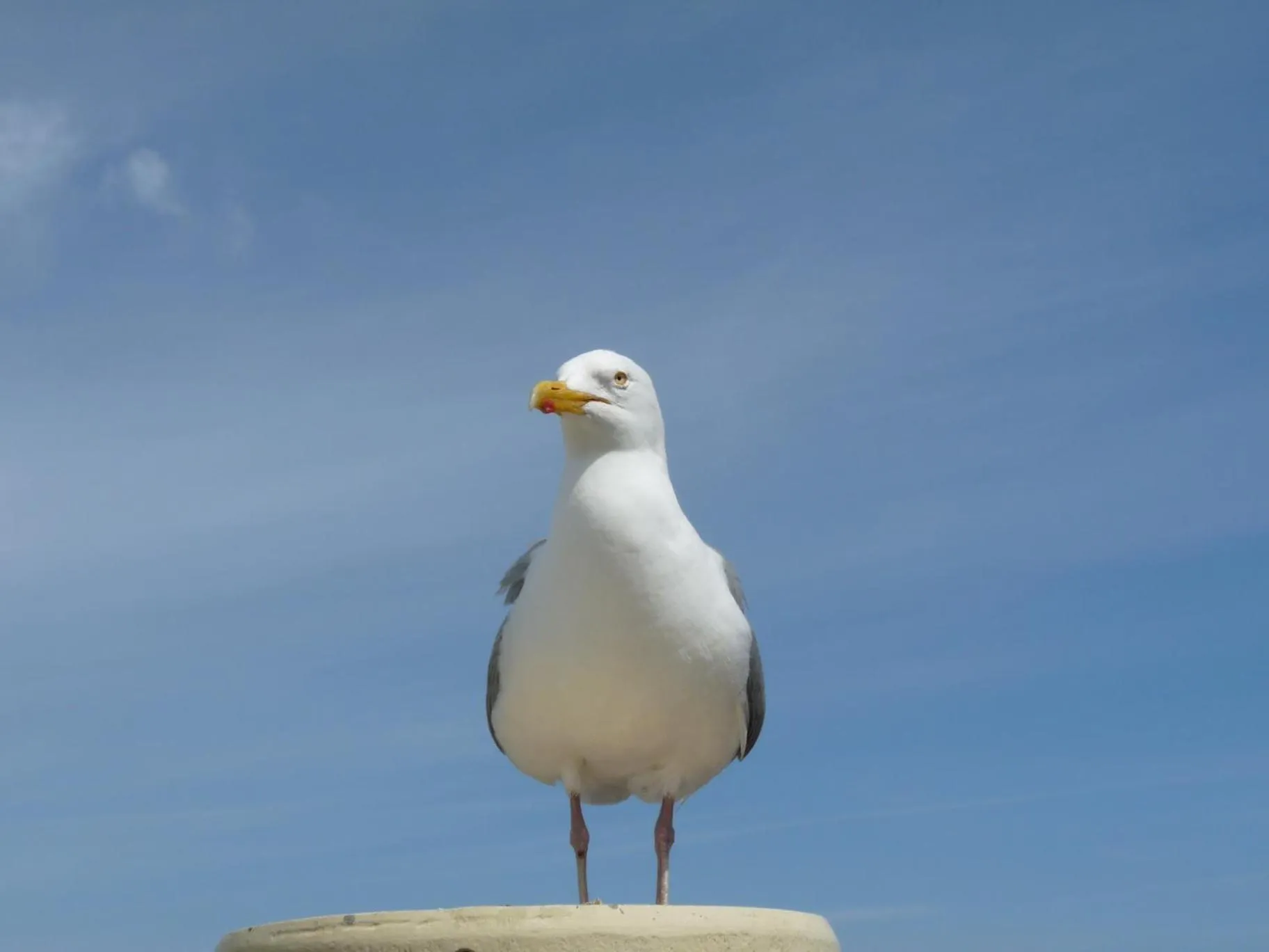 Other in Haus am Burggraben