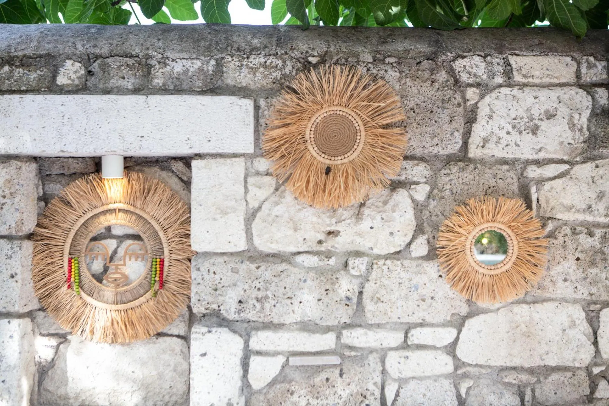 Garden in The ABC Hotel