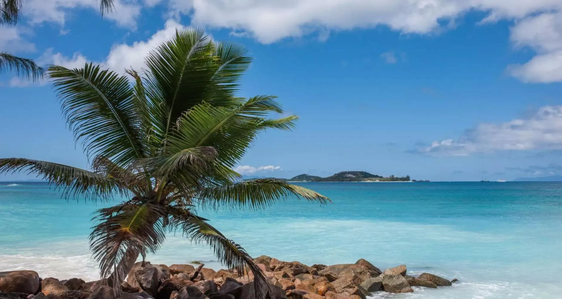 Beach in Villa Confort