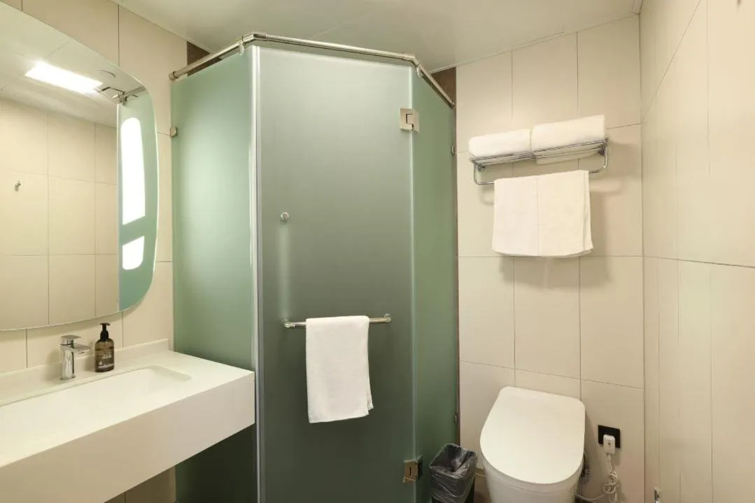 ibis Shanghai International Tourism Resort Xiupu Road