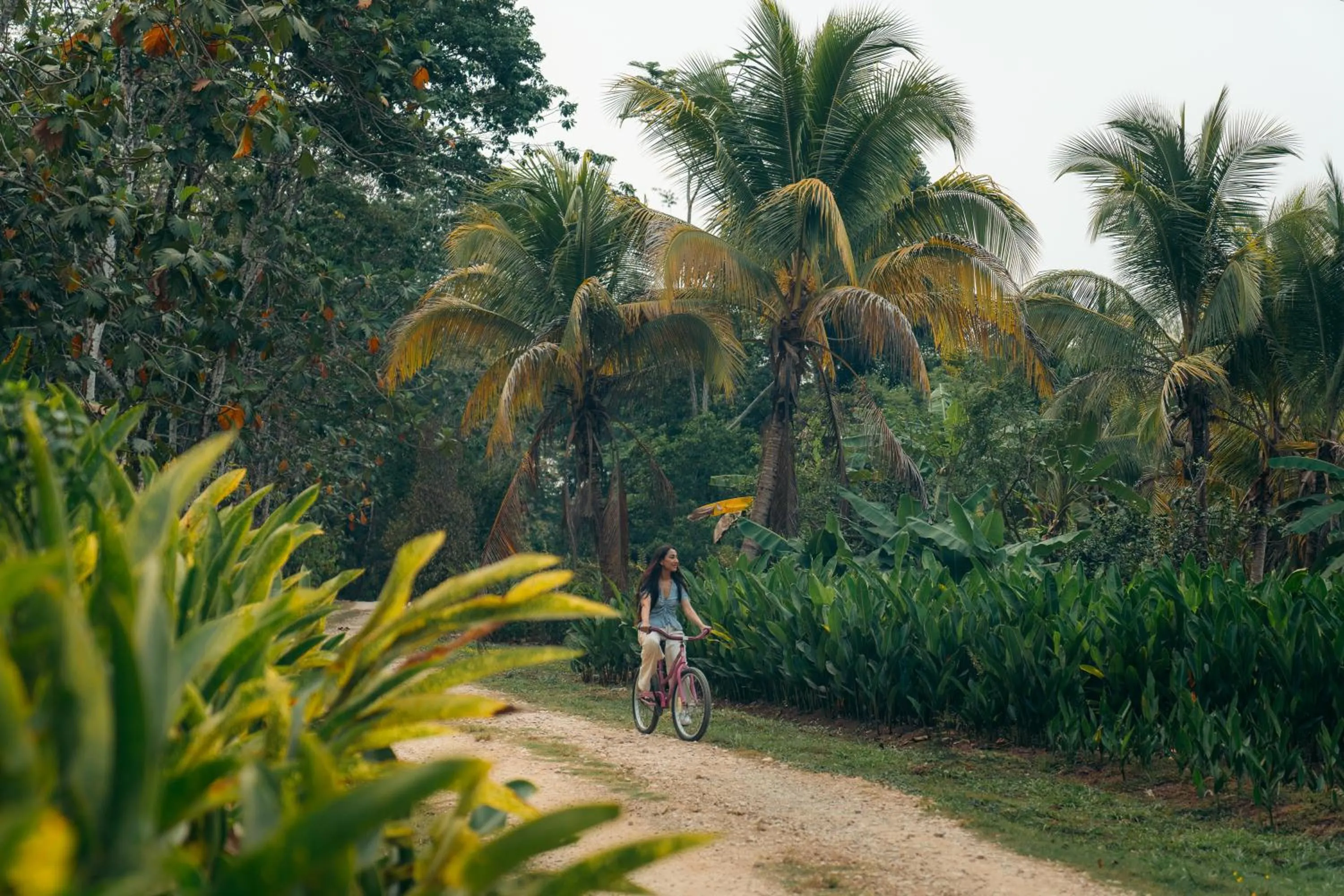 Cycling in Copal Tree Lodge a Muy'Ono Resort