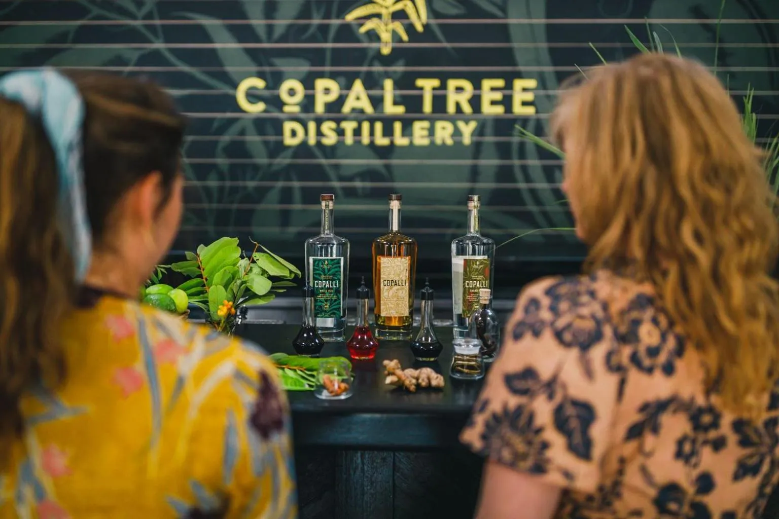 Activities in Copal Tree Lodge a Muy'Ono Resort