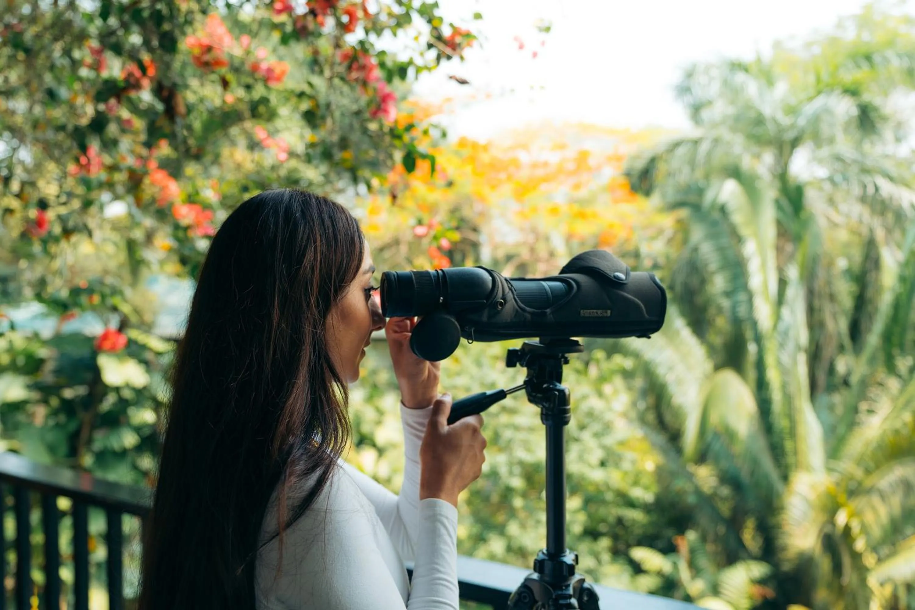 Natural landscape in Copal Tree Lodge a Muy'Ono Resort