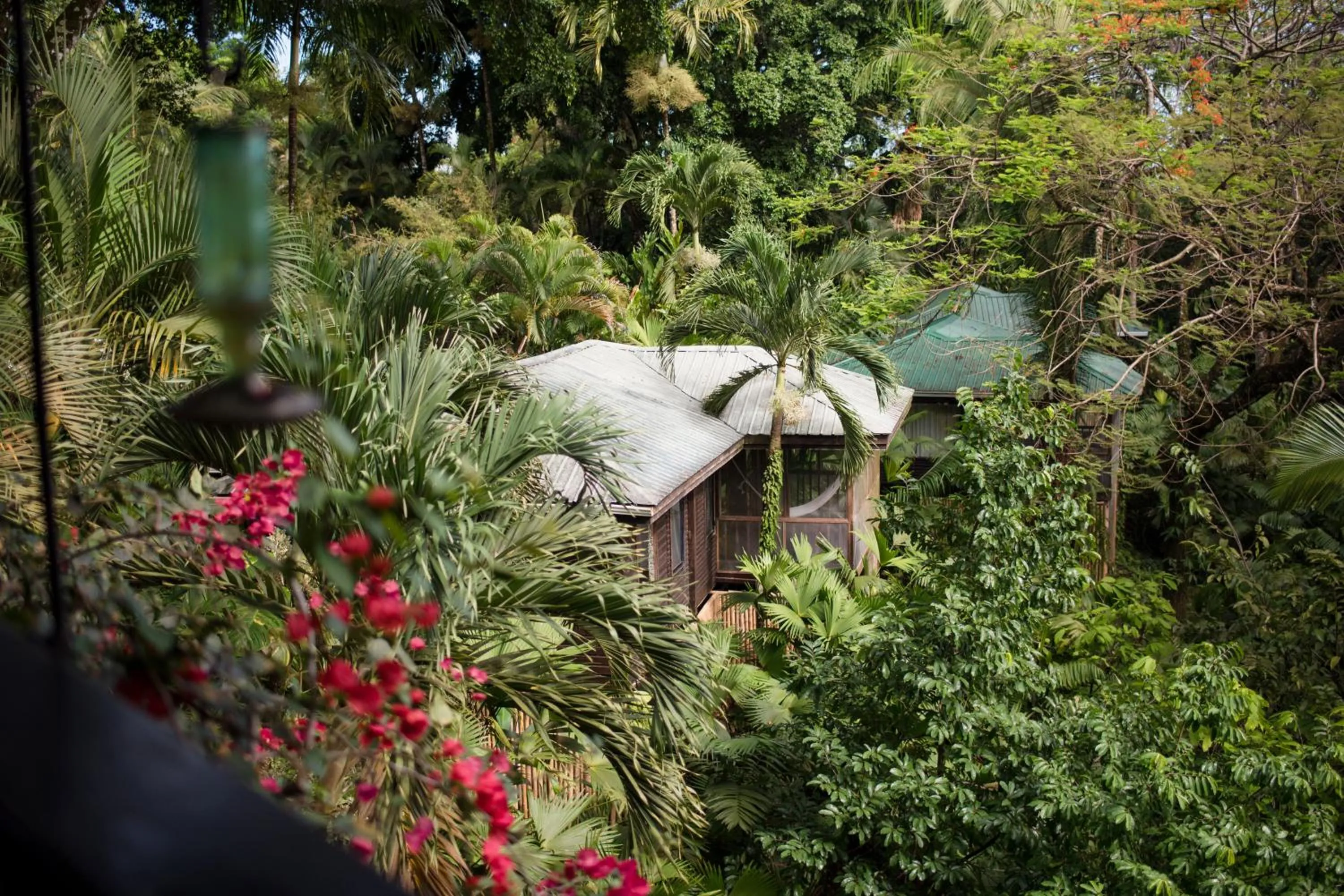 Property building in Copal Tree Lodge a Muy'Ono Resort