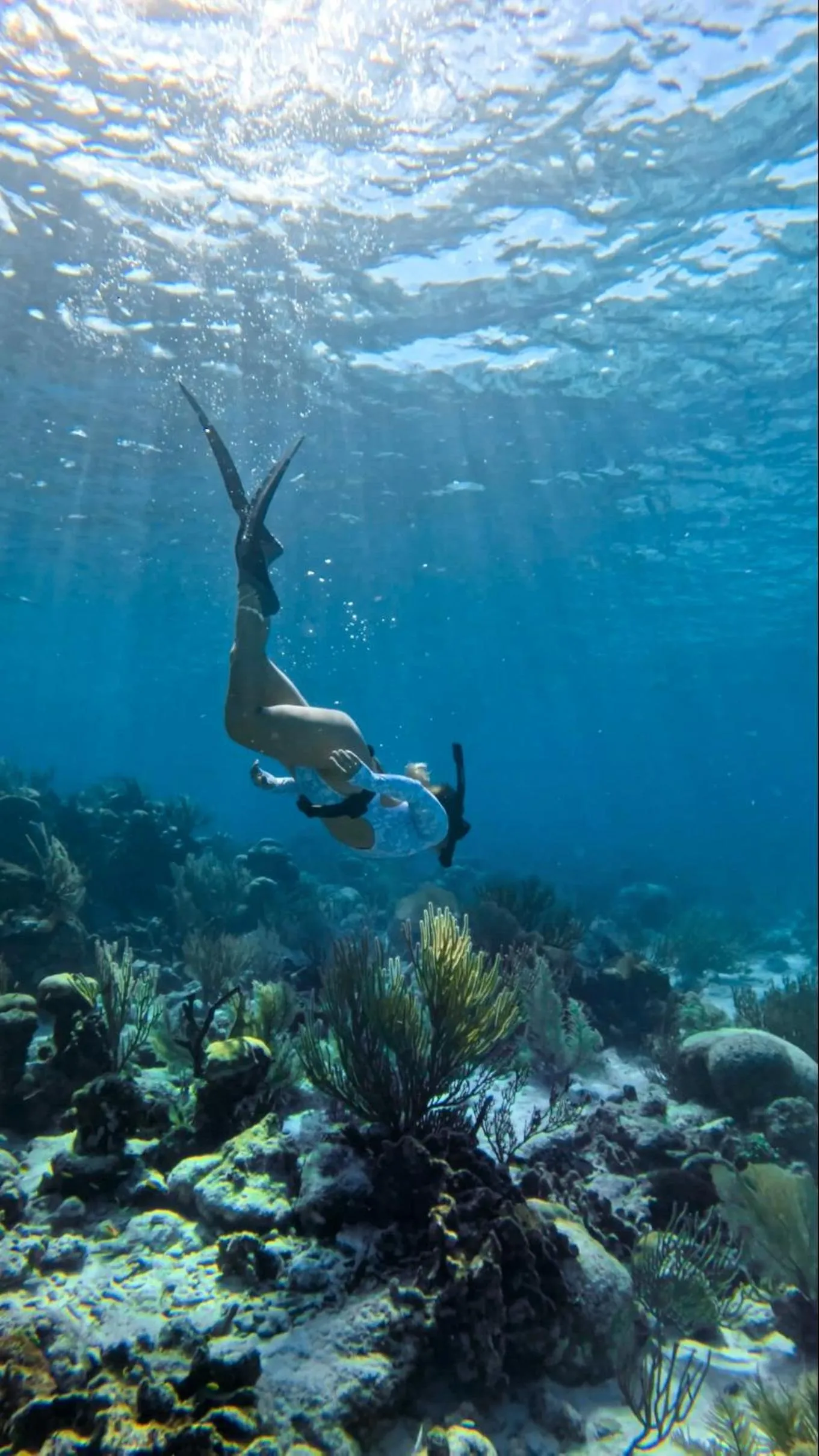 Snorkeling in Copal Tree Lodge a Muy'Ono Resort
