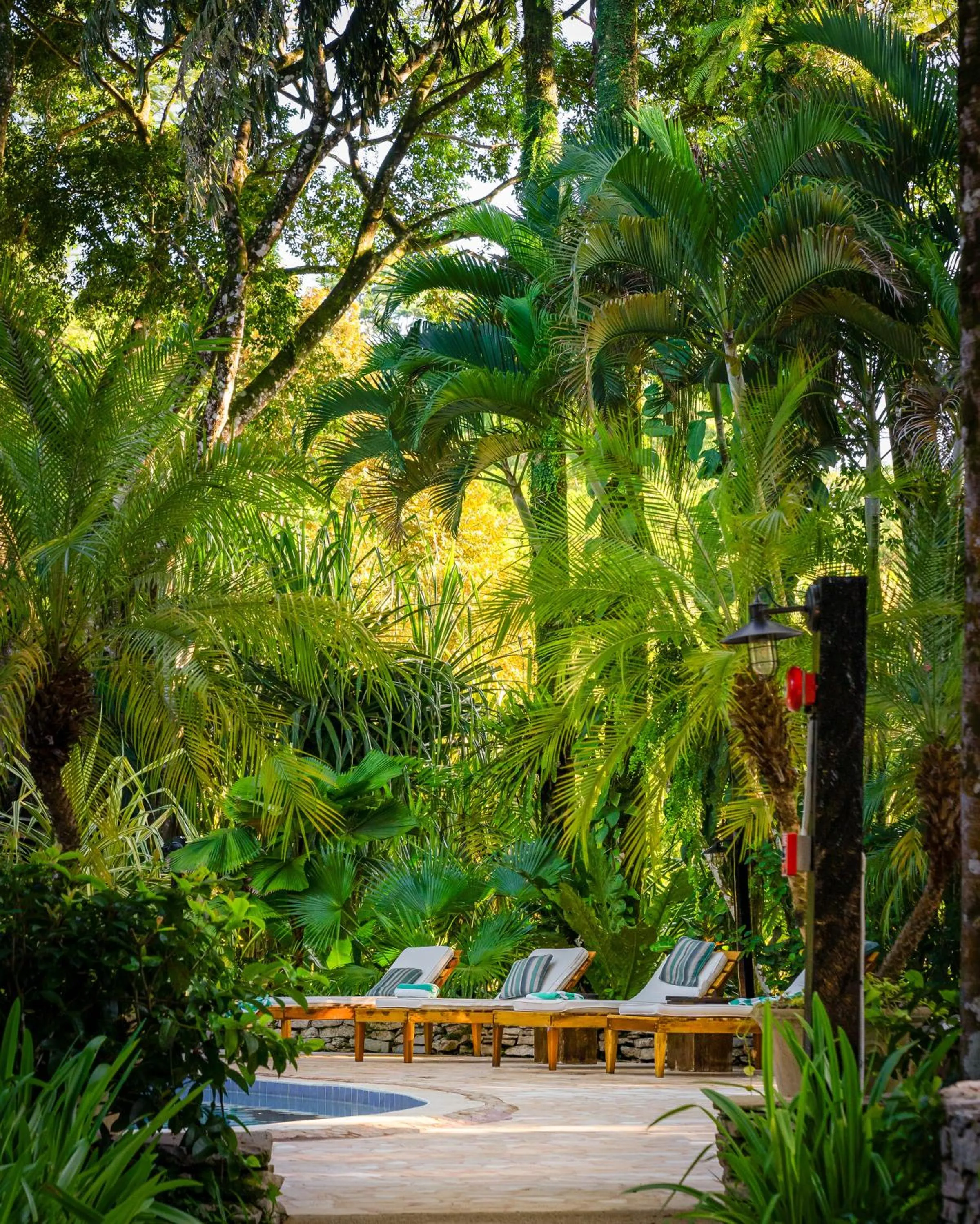 Swimming pool in Copal Tree Lodge a Muy'Ono Resort