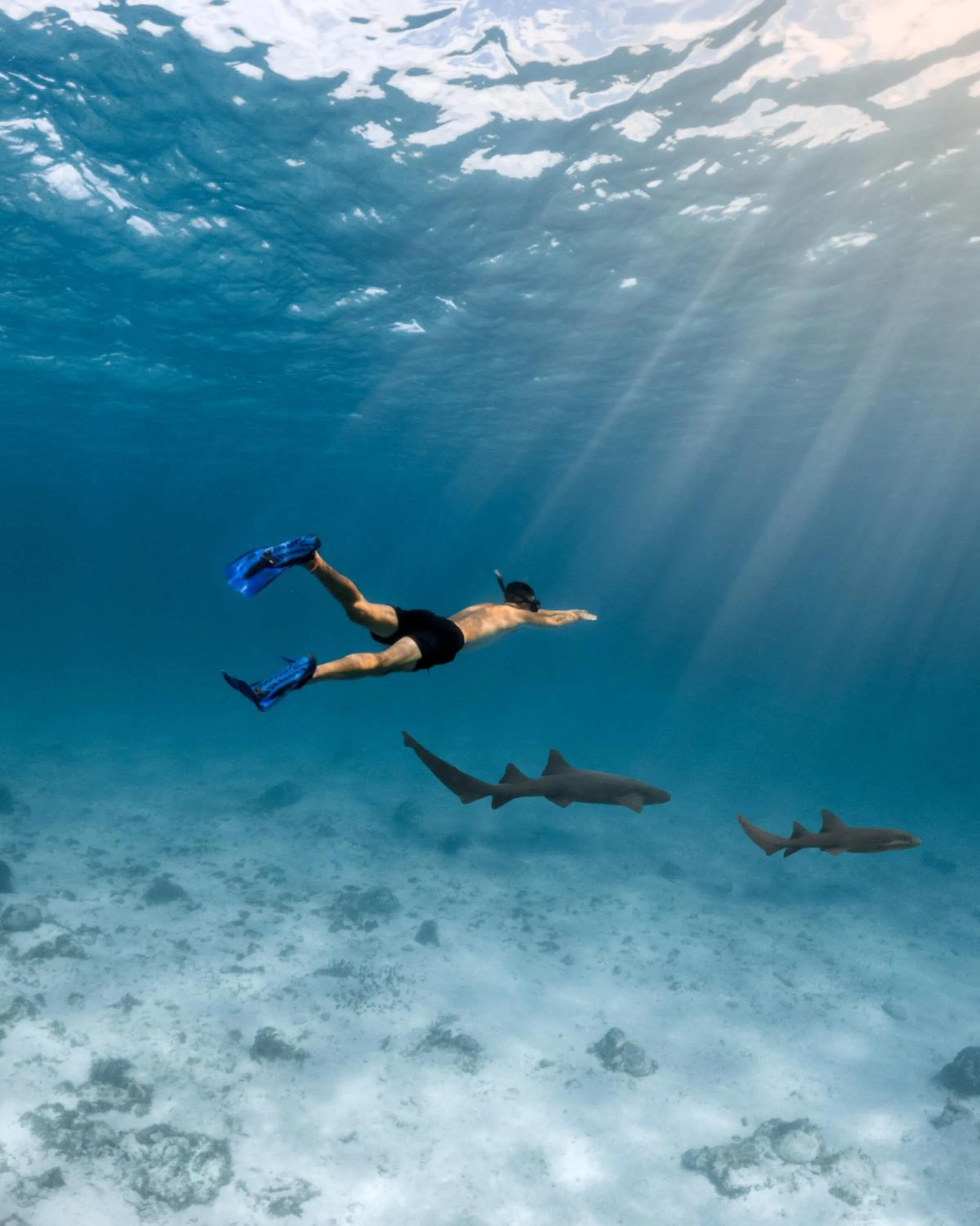 Snorkeling in Copal Tree Lodge a Muy'Ono Resort
