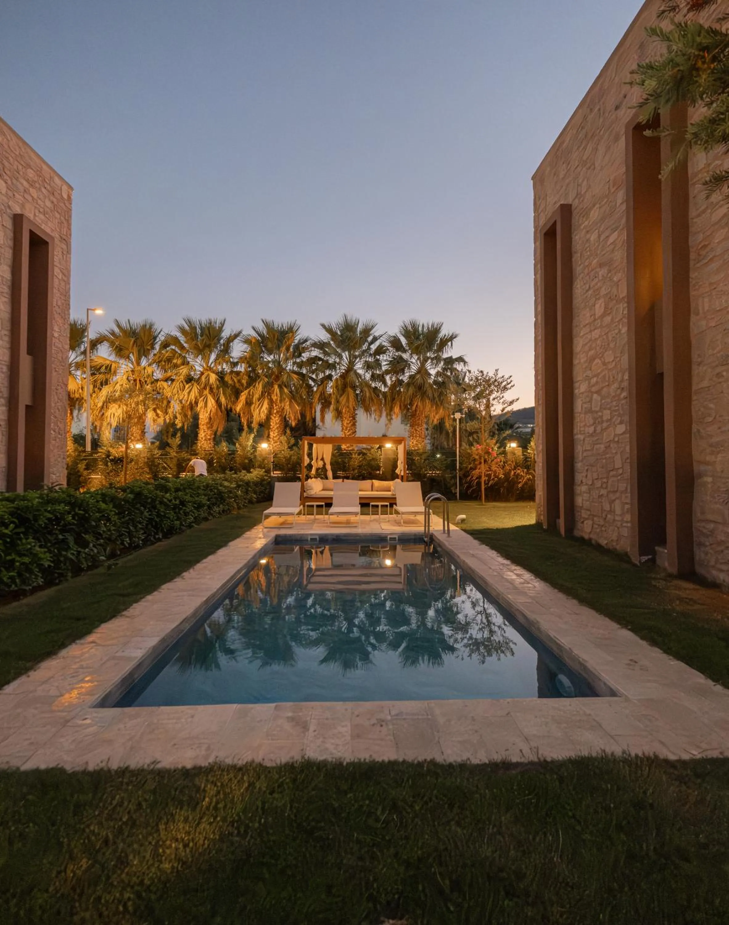 Day in Mimosa Mansions