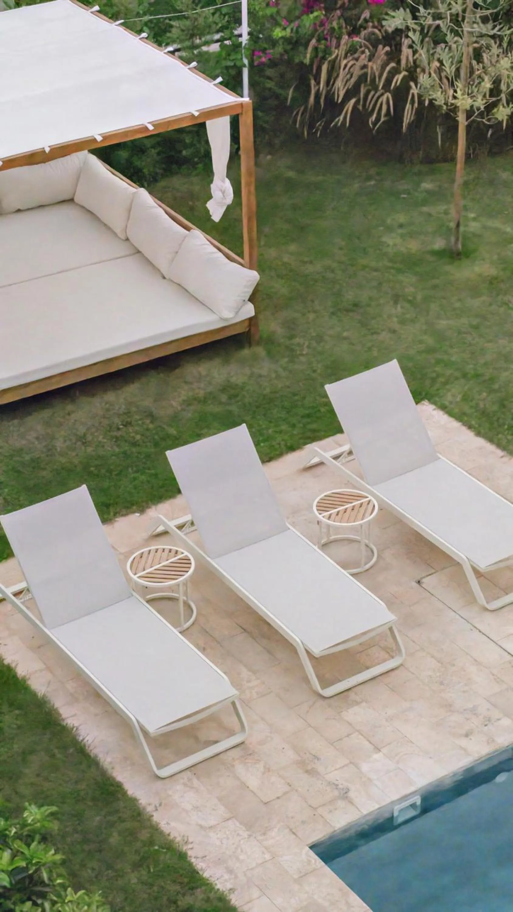 Day in Mimosa Mansions