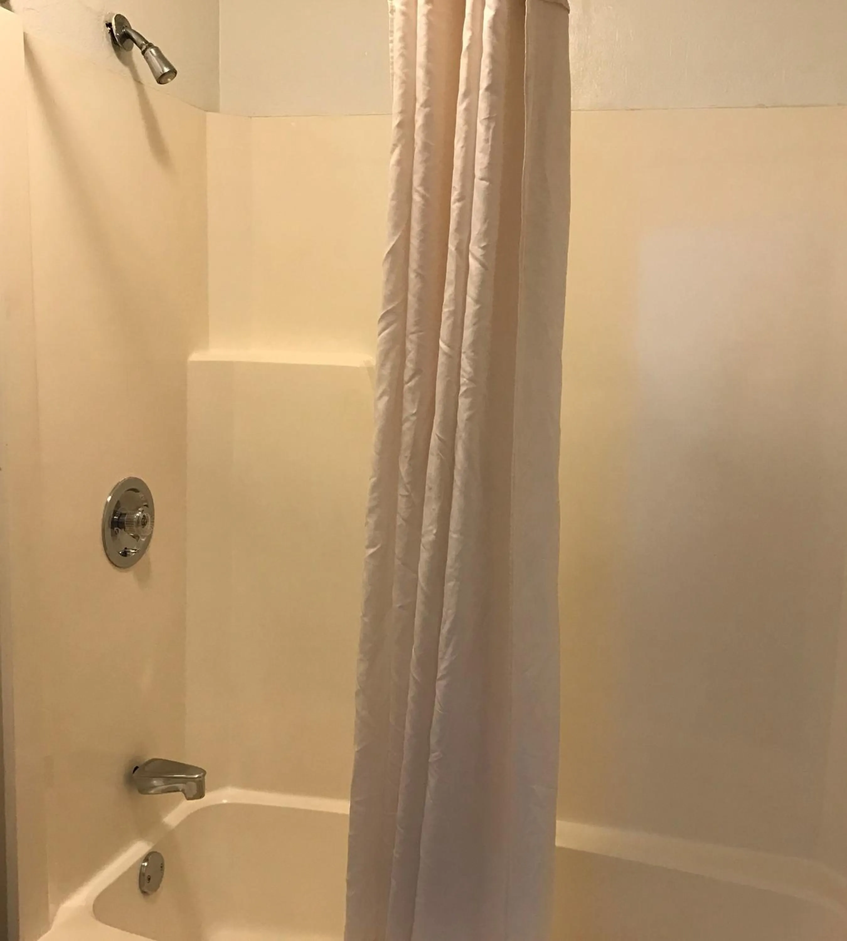 Shower in Royal Regency Inn