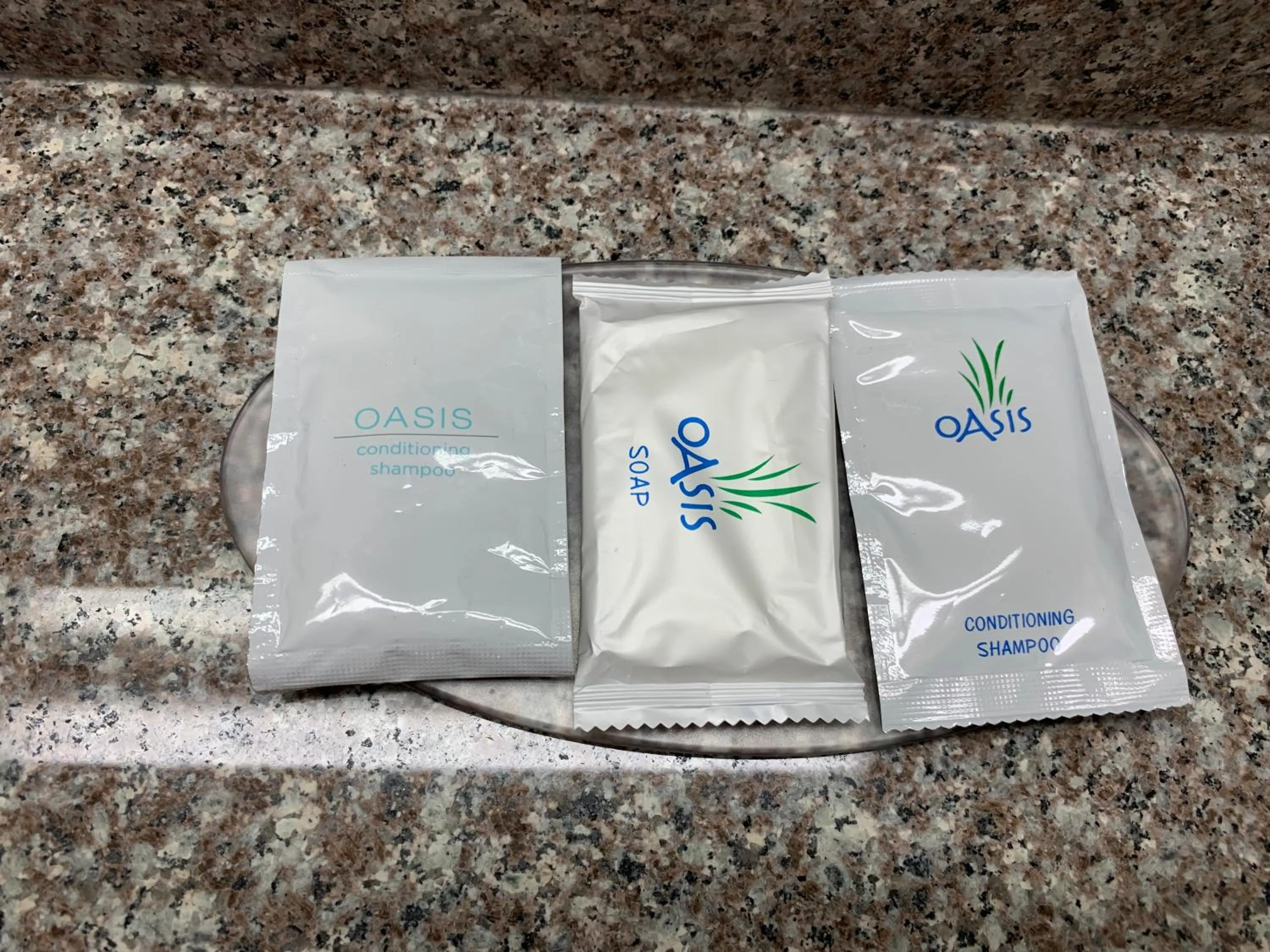 Shower in Royal Regency Inn