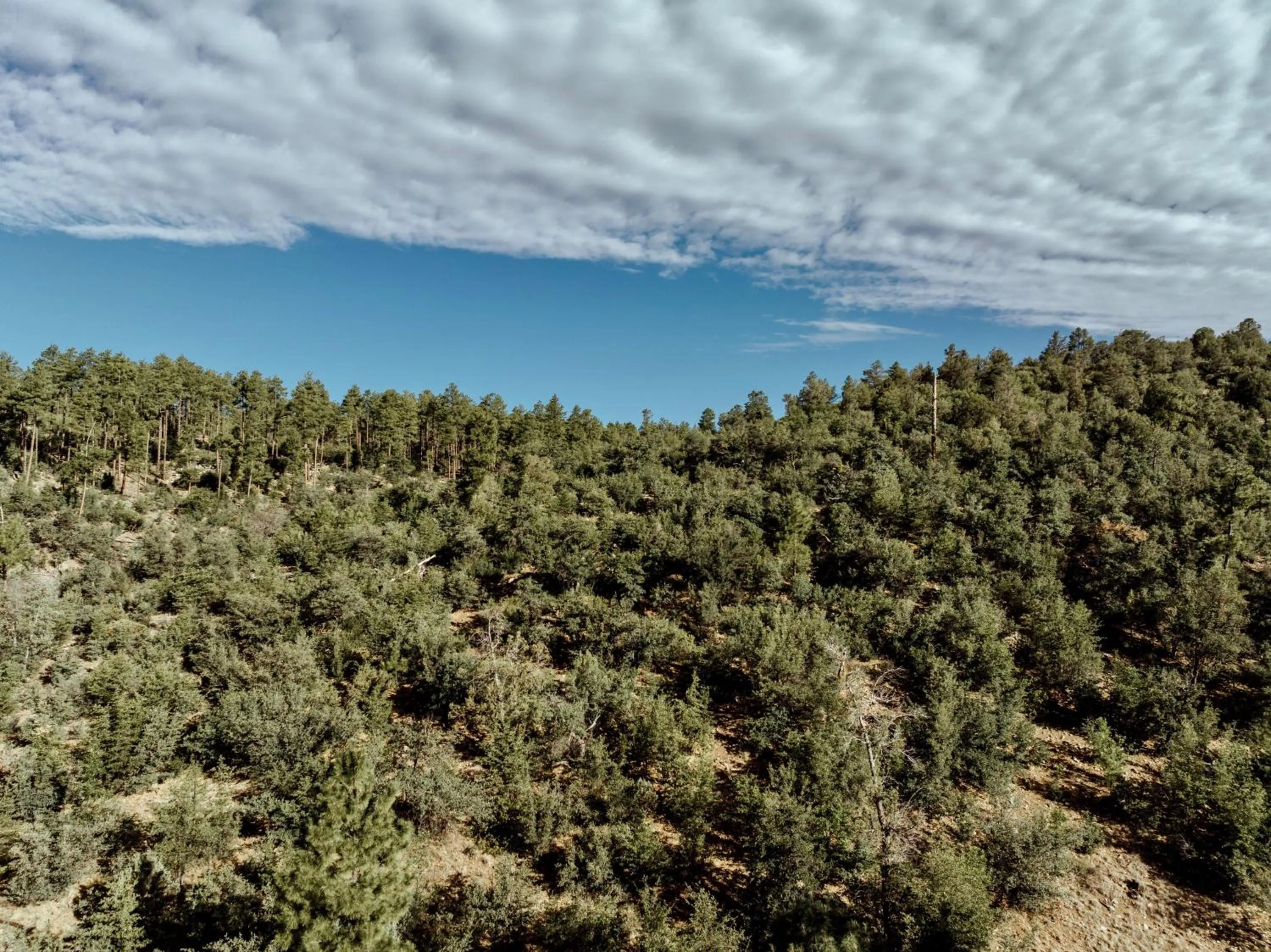 Area and facilities in Hotel St Michael, BW Premier Collection