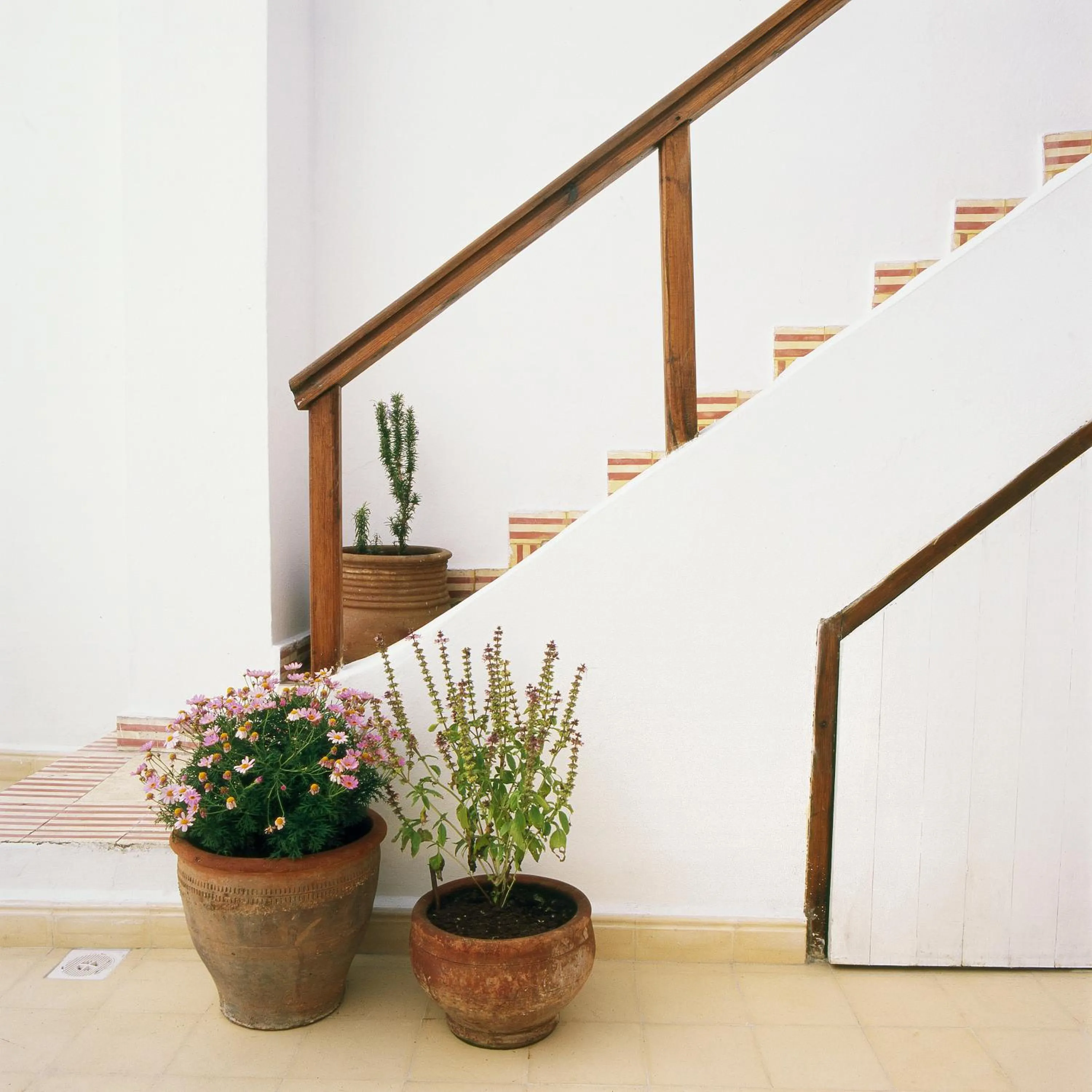 Decorative detail in Dar Lazuli Bed & Breakfast