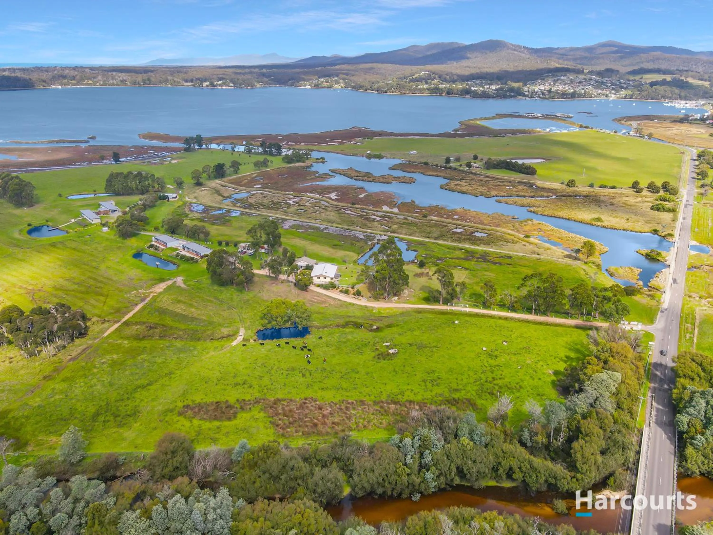 Bird's eye view in Pelican Point Sanctuary