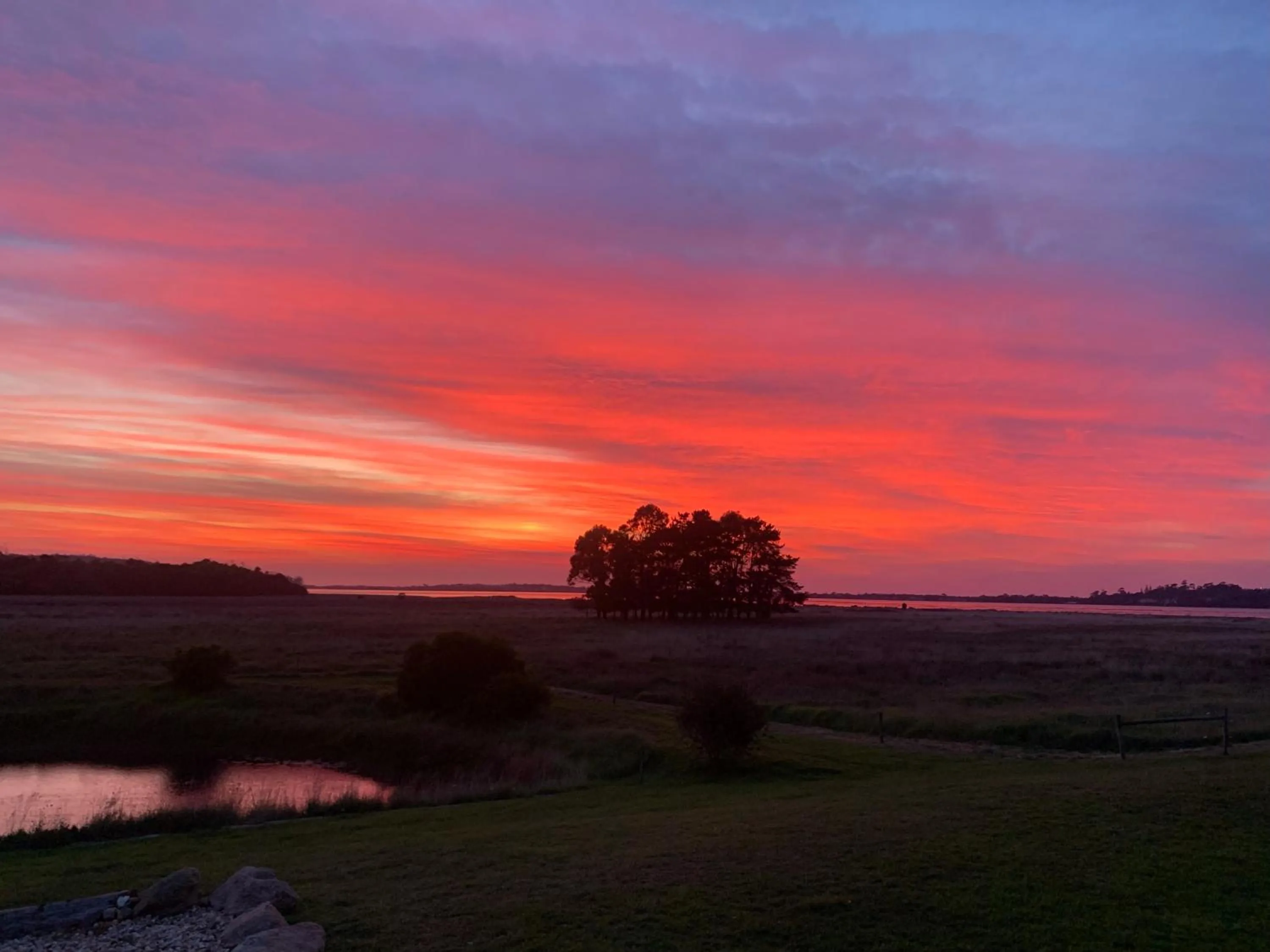 Pelican Point Sanctuary