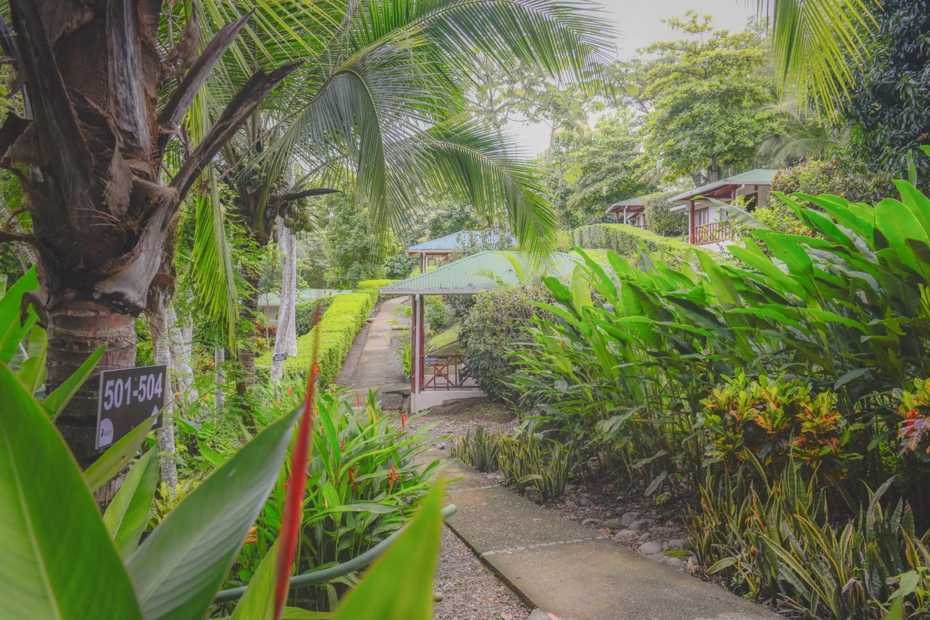 Garden in Hotel Cerro Lodge