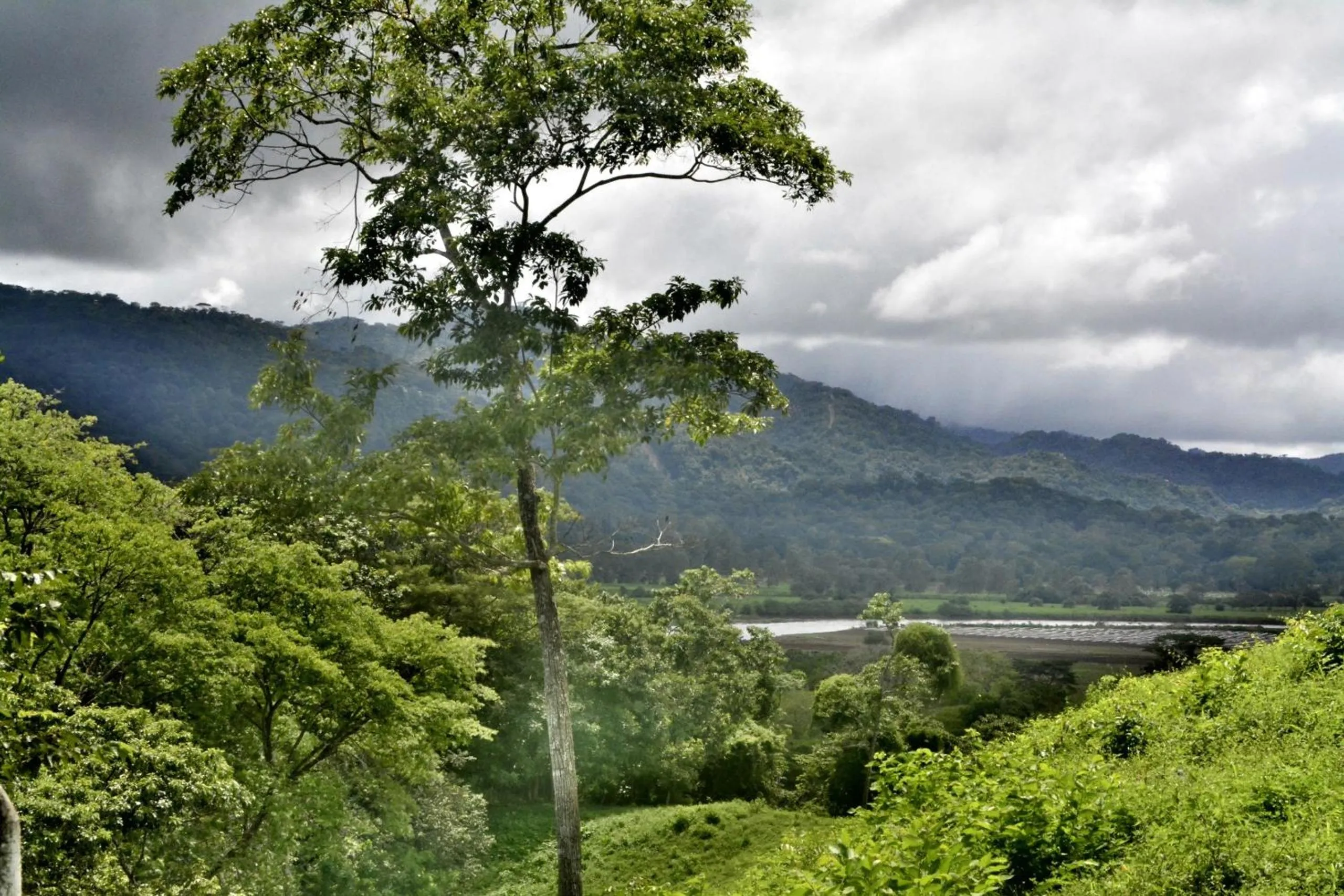 Off site in Hotel Cerro Lodge