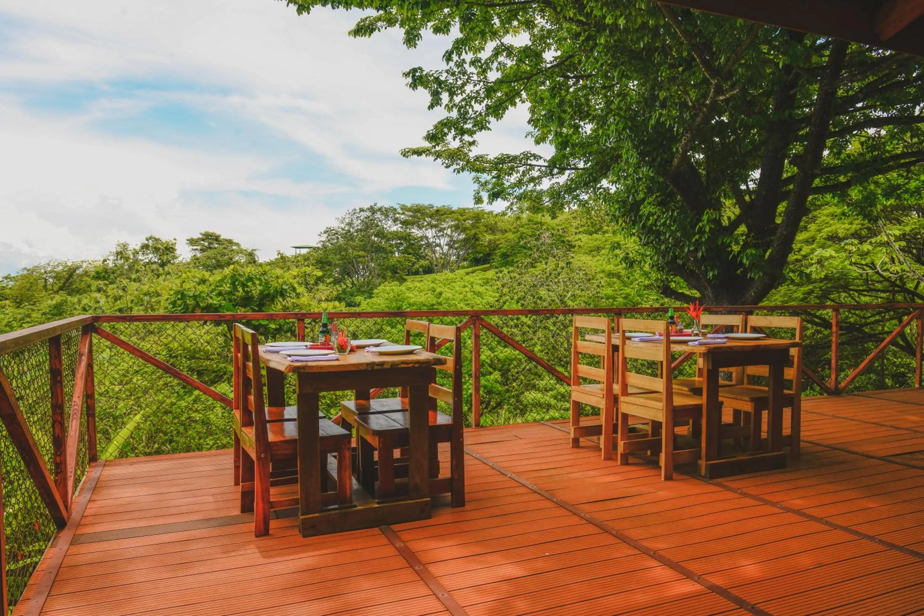 Restaurant/places to eat in Hotel Cerro Lodge