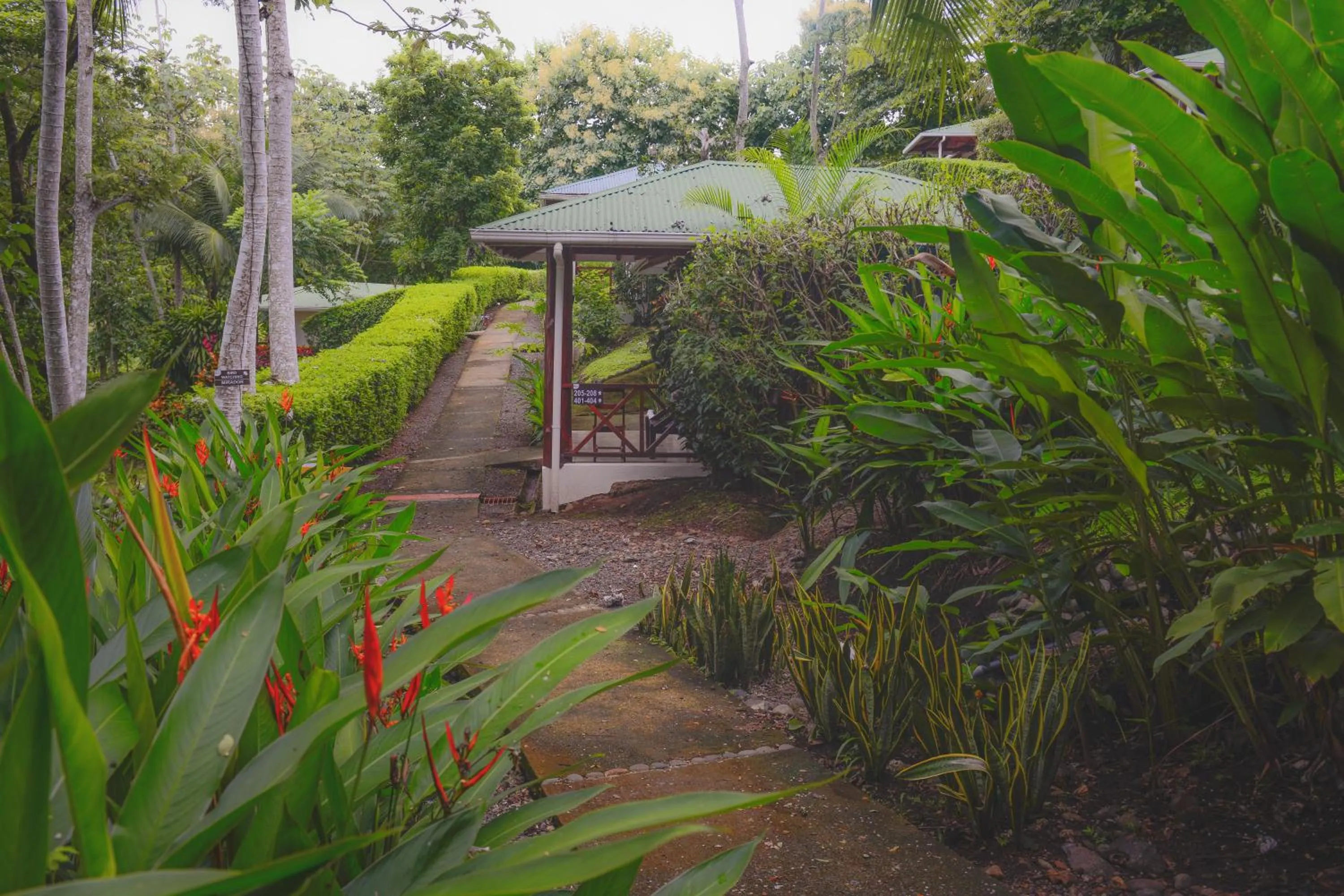 Garden in Hotel Cerro Lodge
