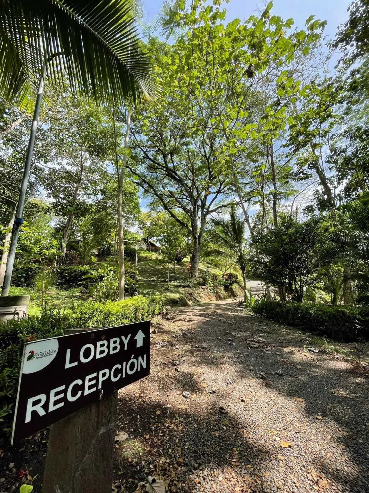 Mountain view in Hotel Cerro Lodge