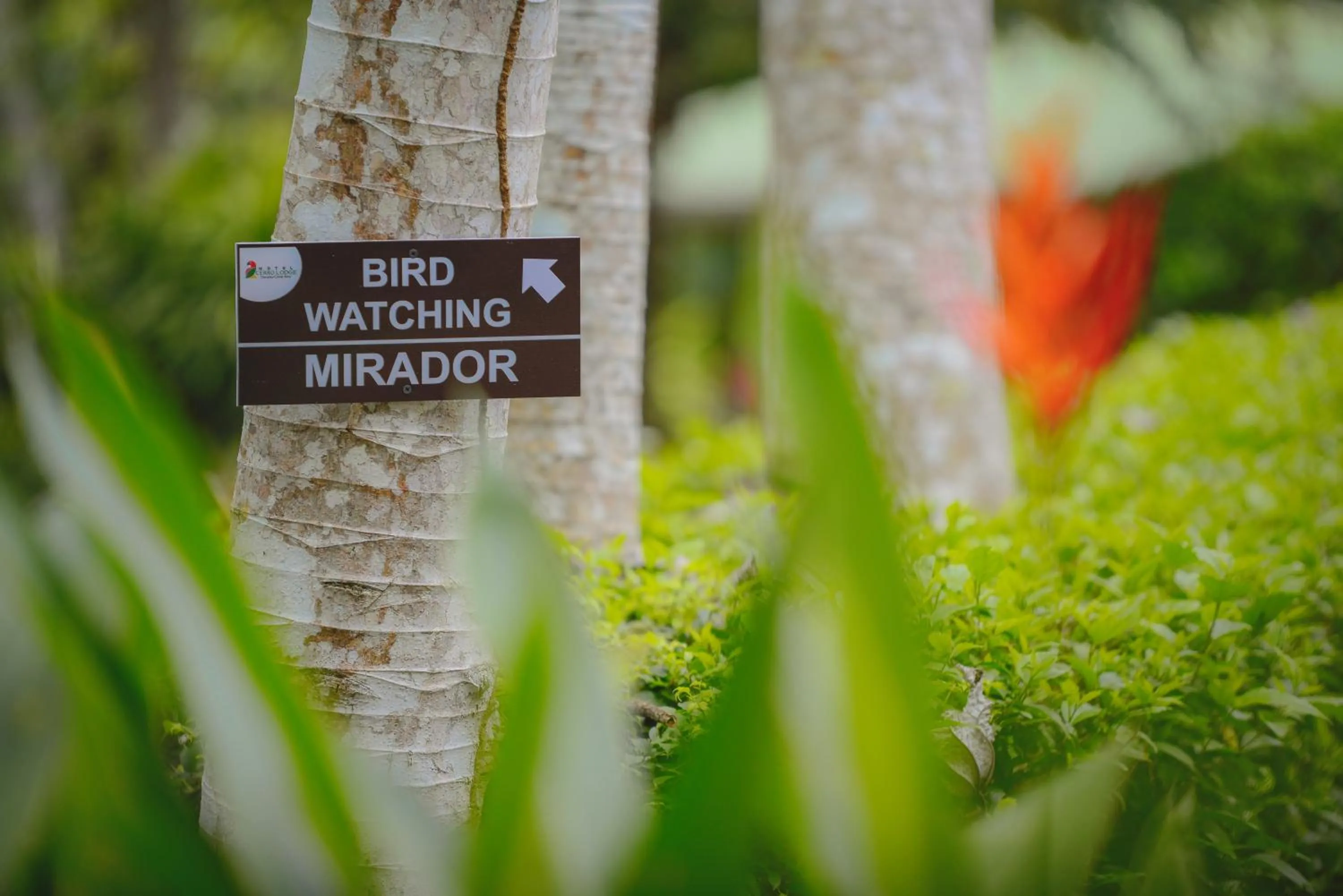 Property logo or sign in Hotel Cerro Lodge