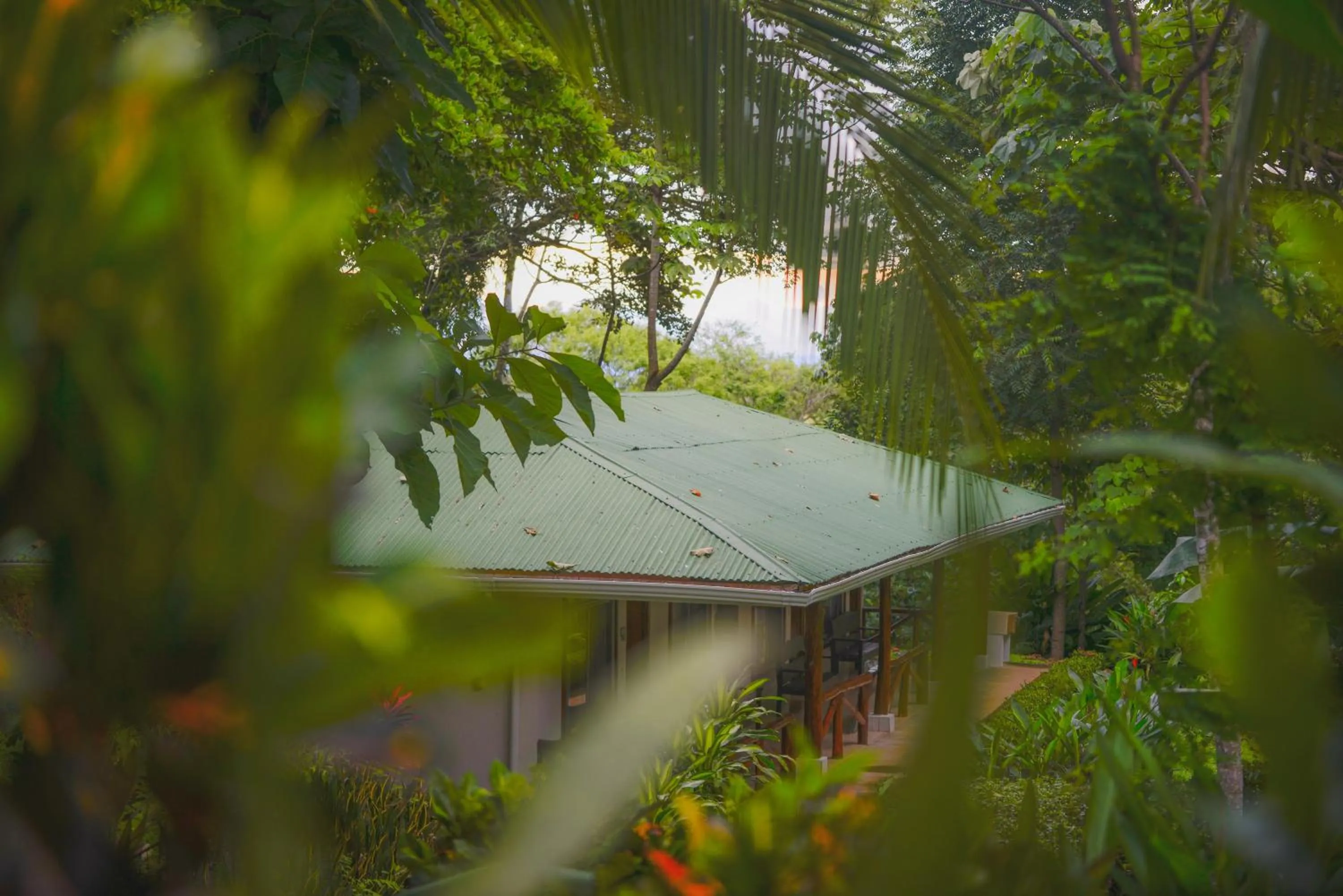 Garden in Hotel Cerro Lodge