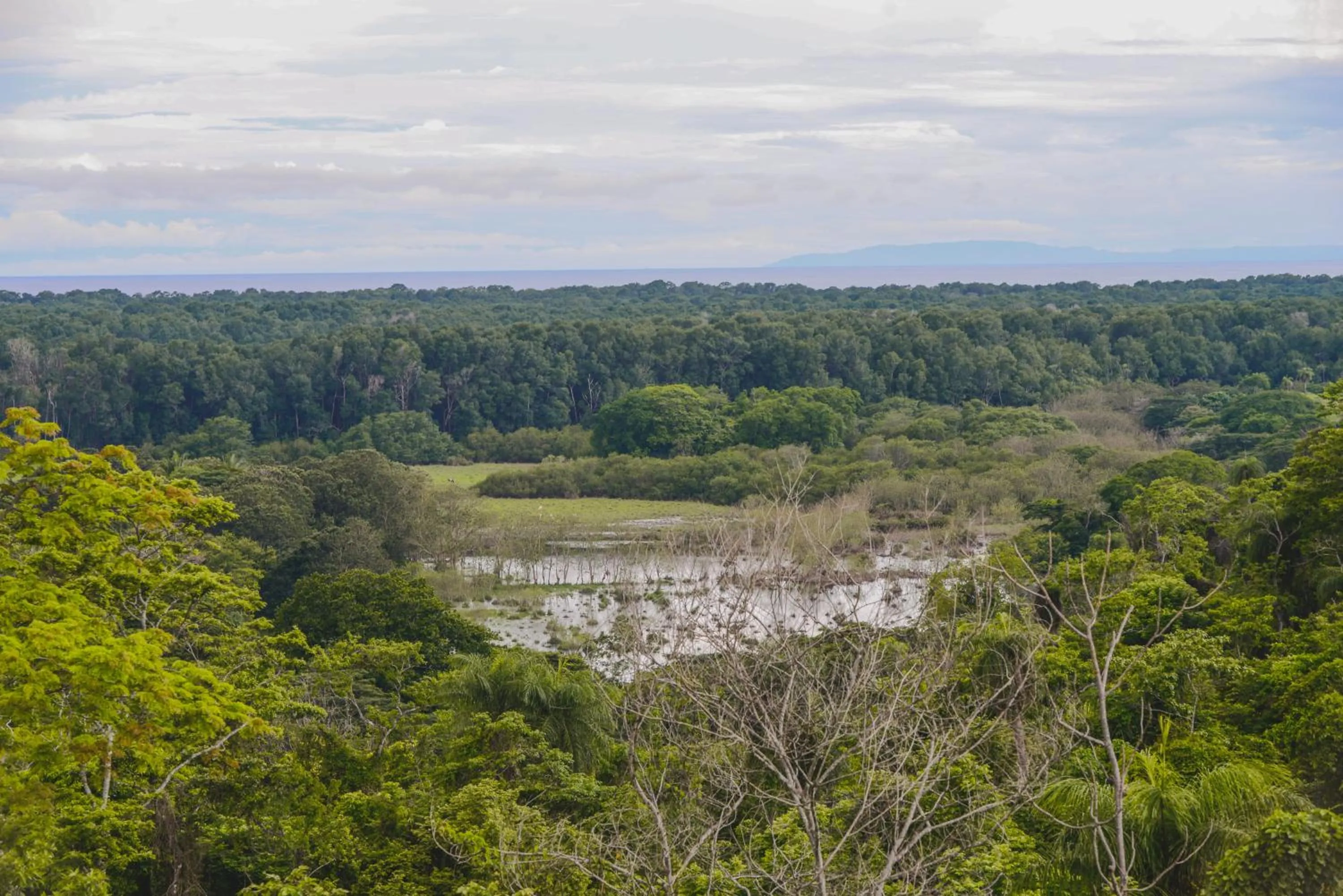View (from property/room) in Hotel Cerro Lodge