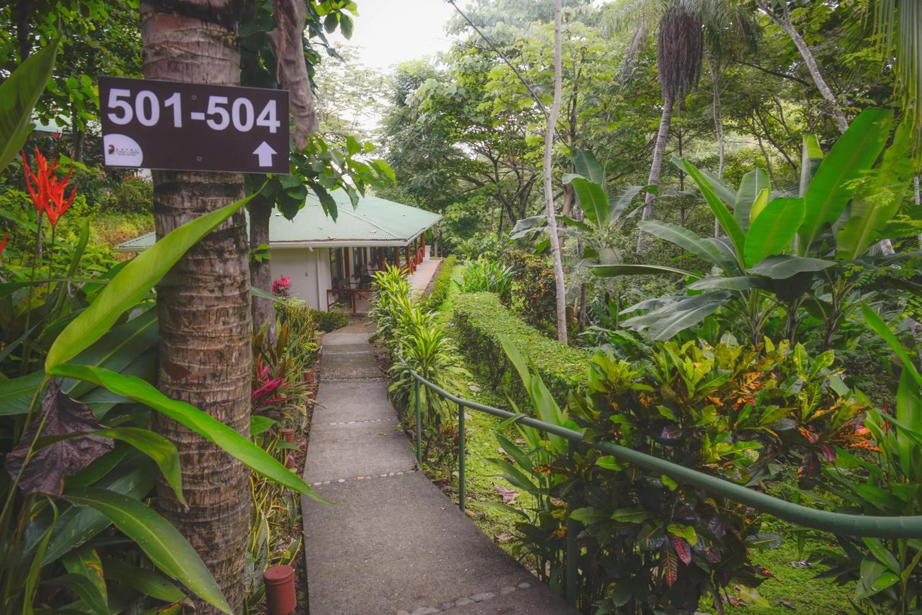 Garden in Hotel Cerro Lodge