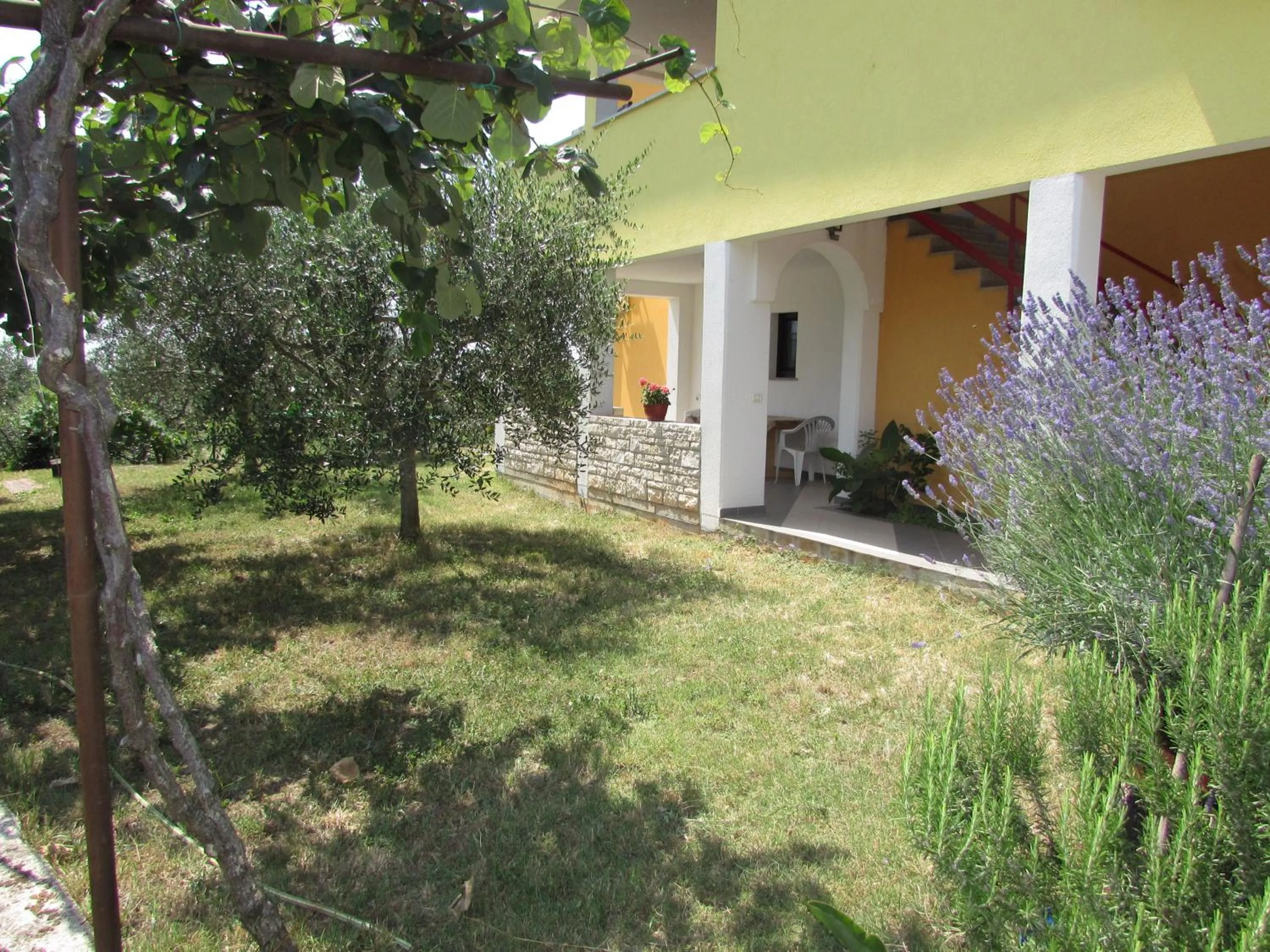 Apartments Goga