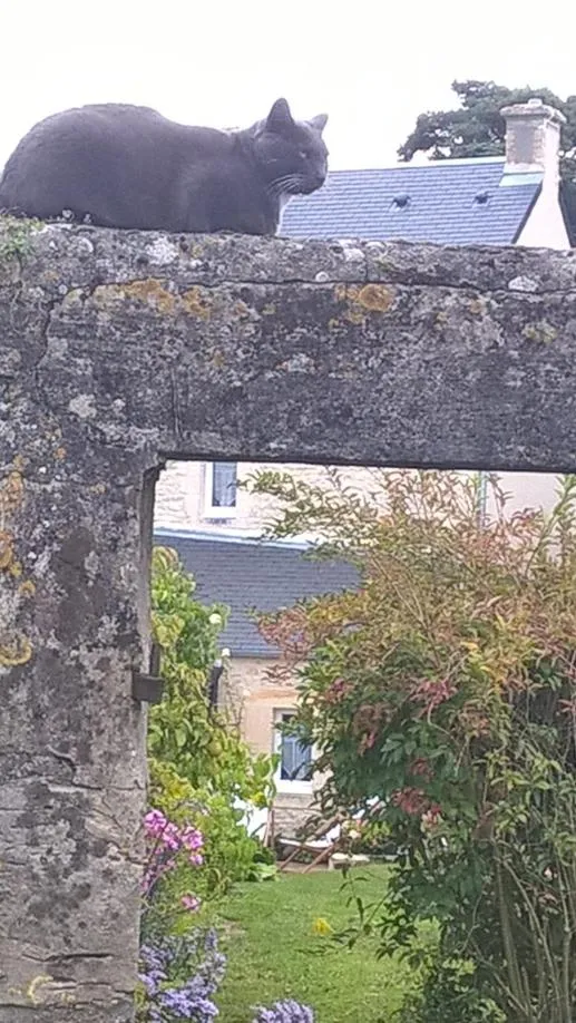 Garden in Les Lilas de Bellefontaine