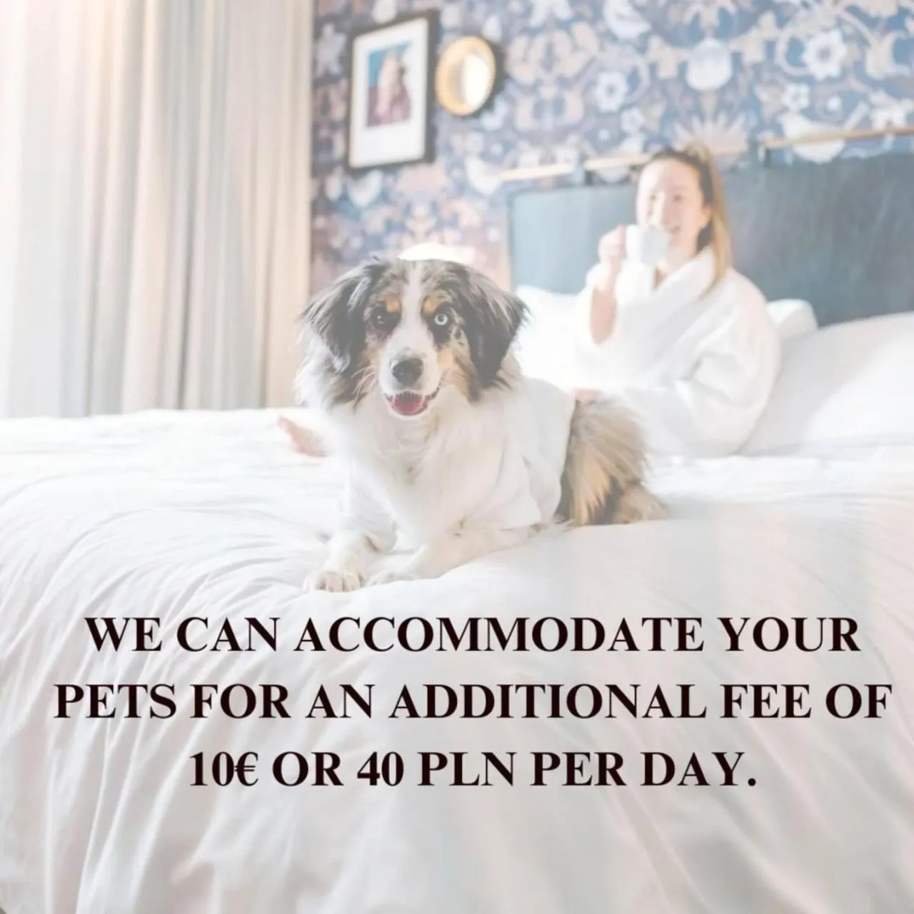 Pets in Lumina 3-room apart with large terrace