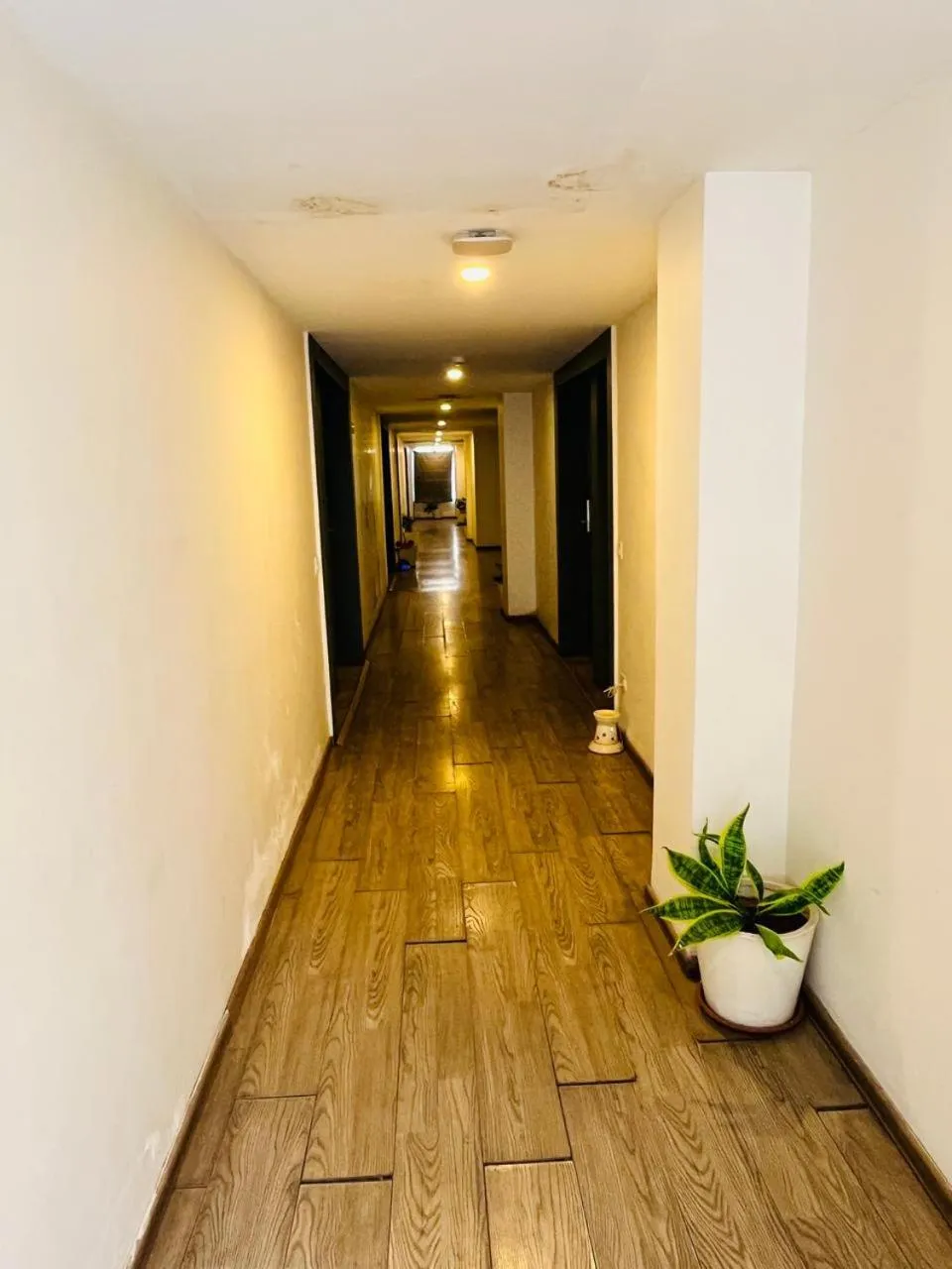 Lobby or reception in The Byke Business Hotel Landmark