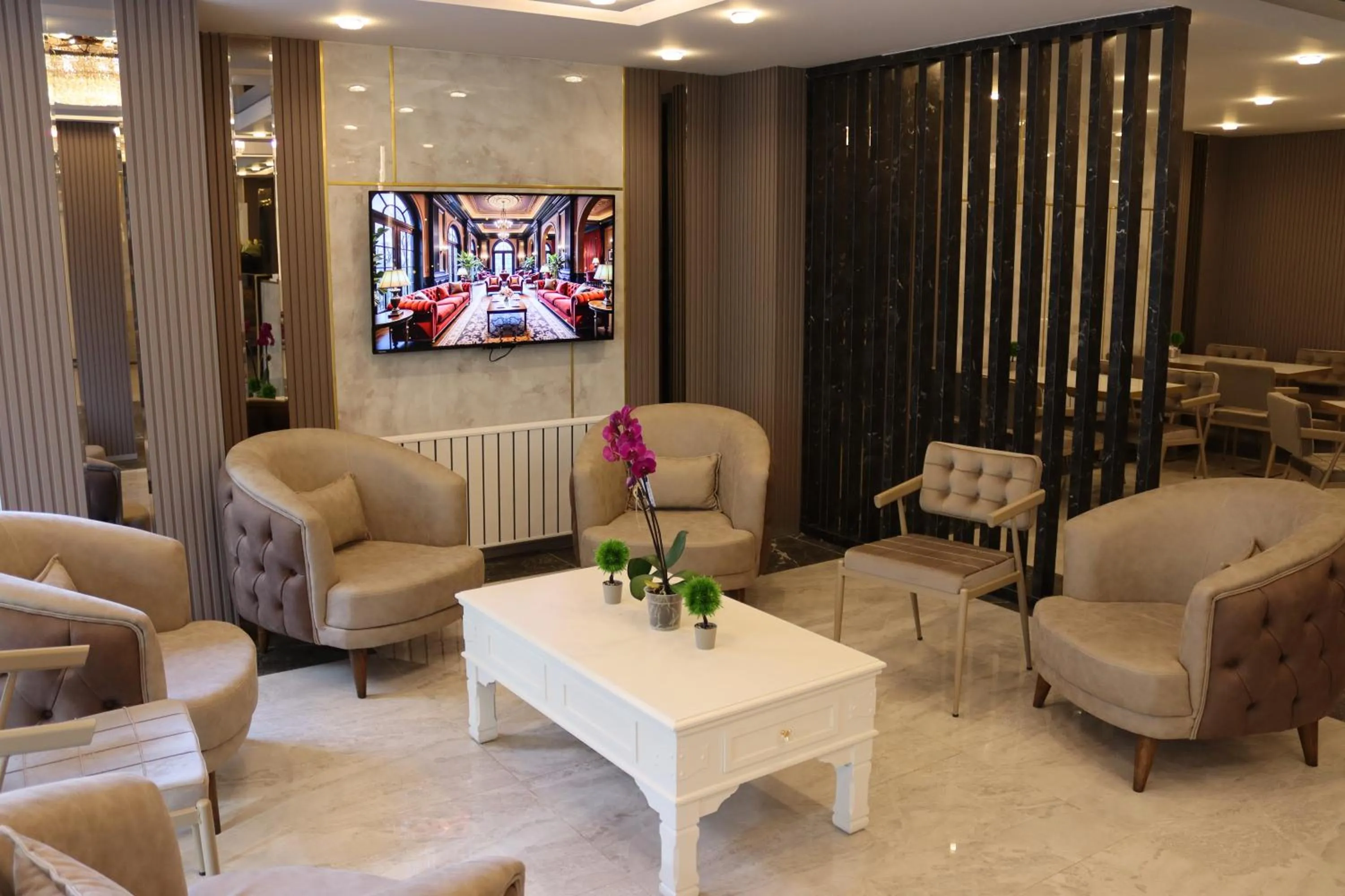 TV and multimedia in Nif Ankara Hotel