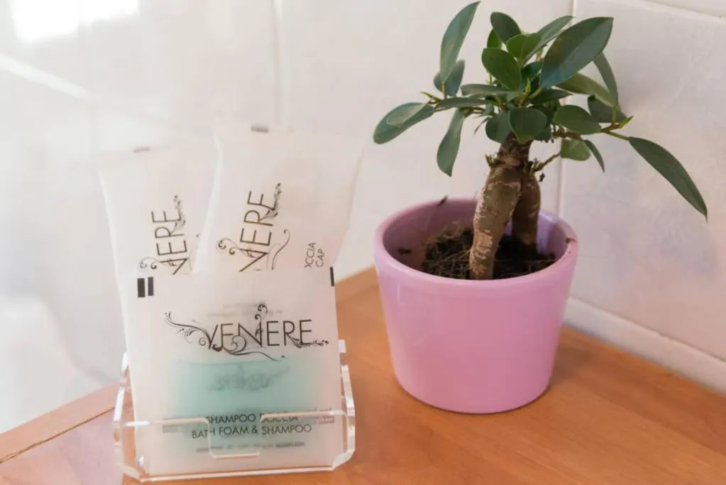 Other in Residenza Quaggio Ca' Grimani