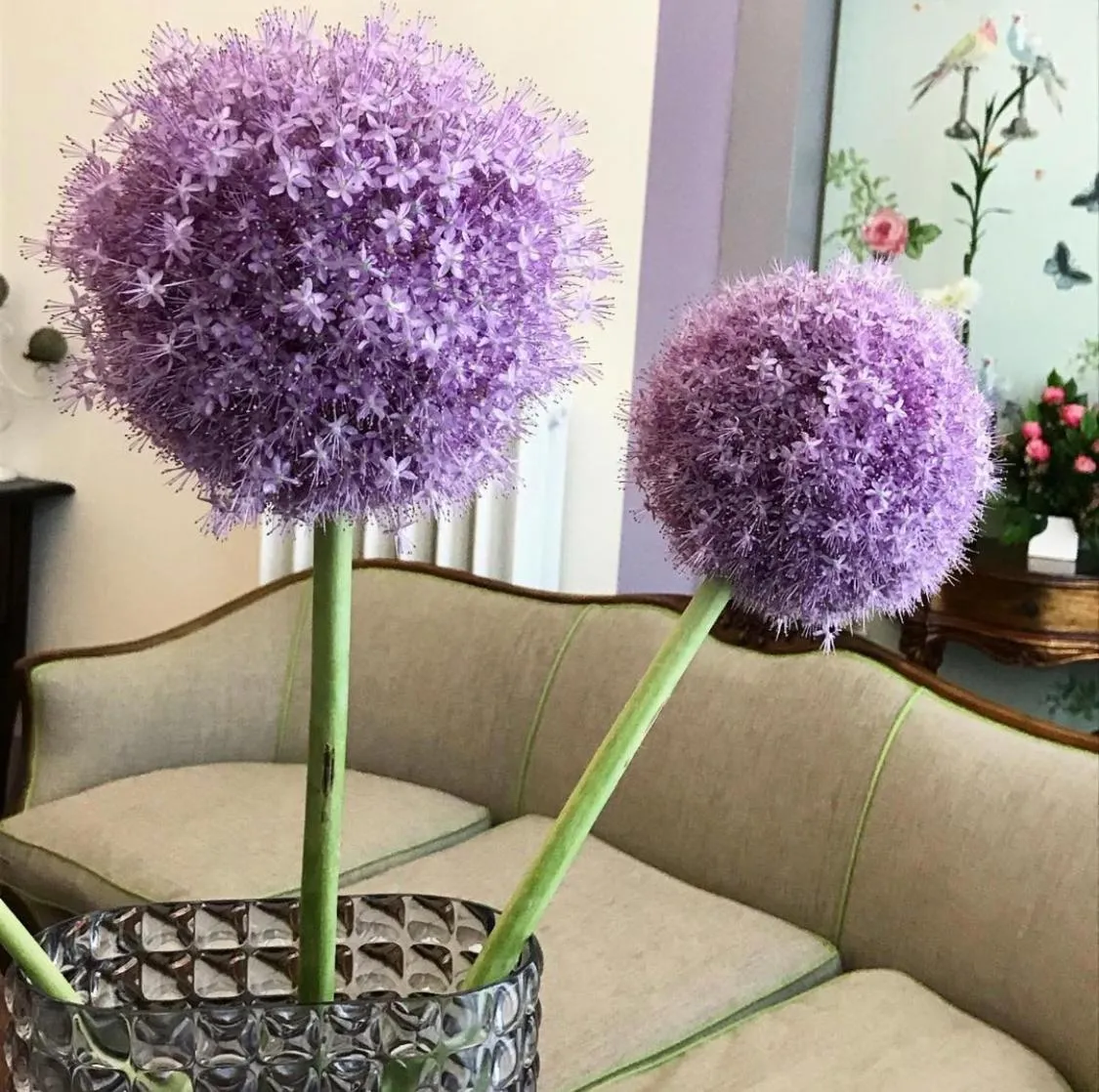 Residenza Quaggio Ca' Grimani