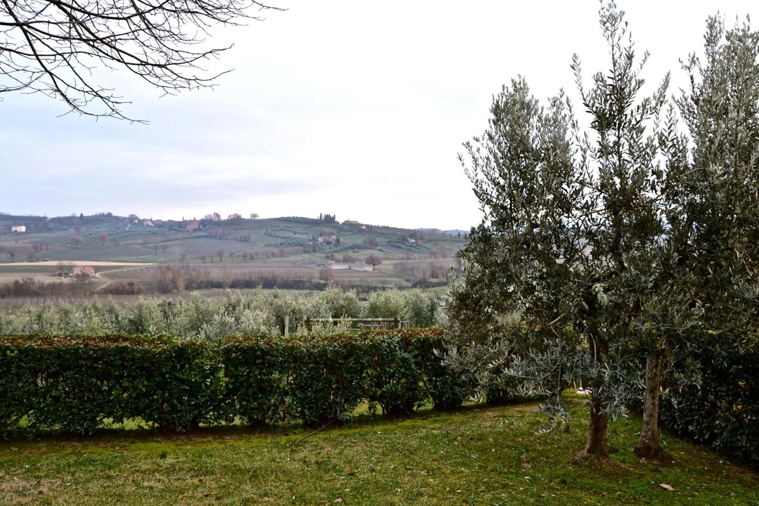 Garden in Agriturismo Sanguineto