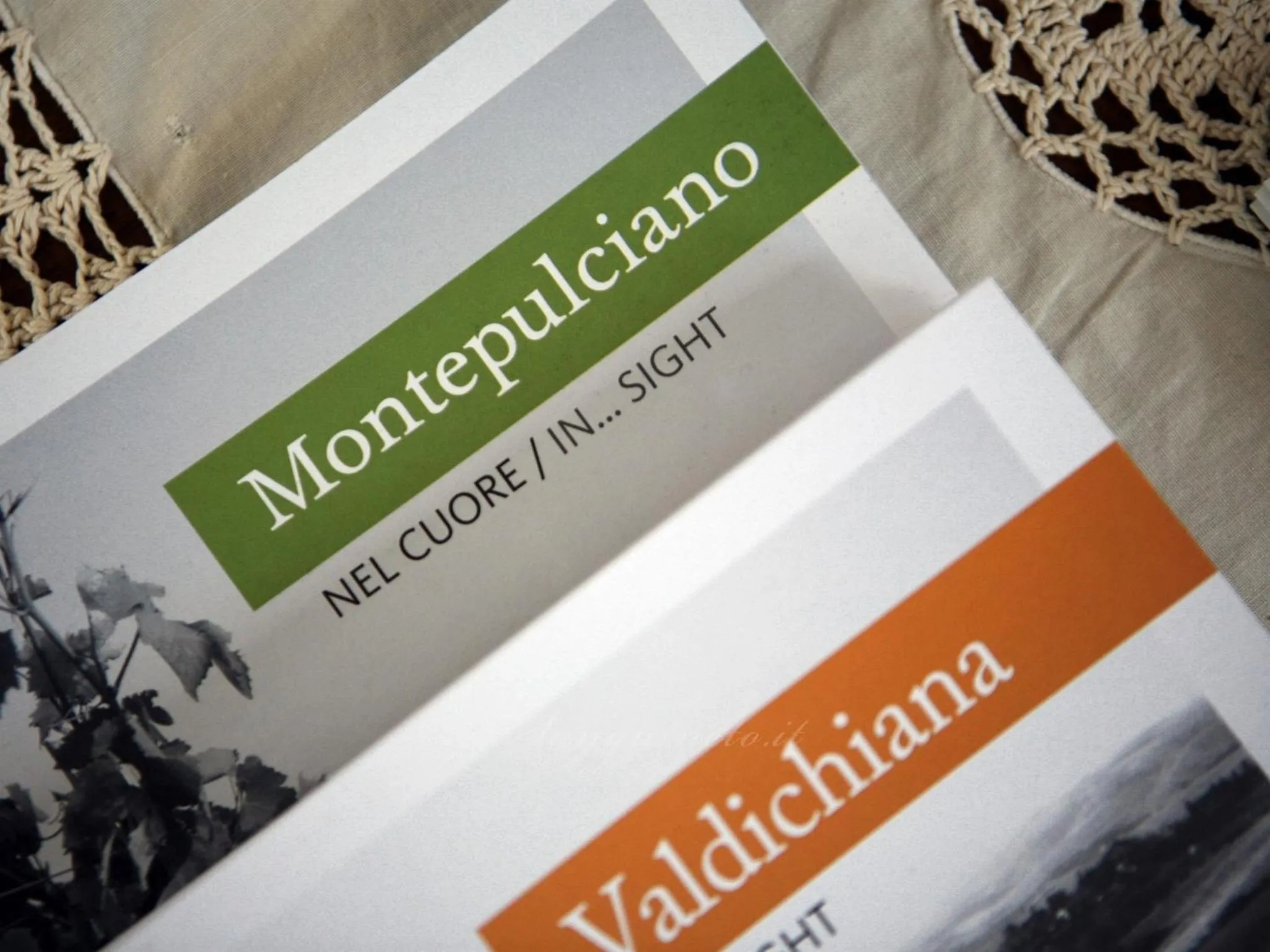 Library in Agriturismo Sanguineto