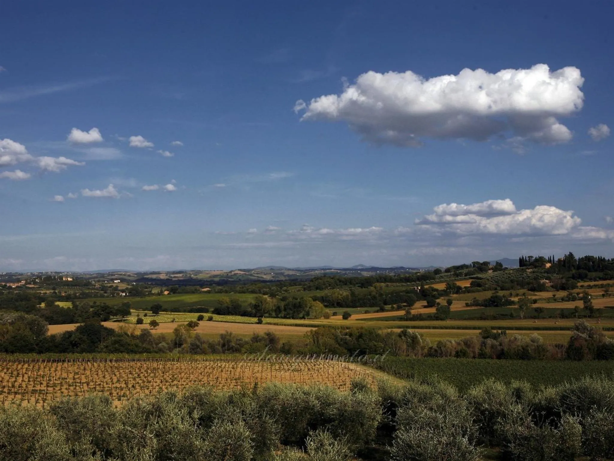 Garden in Agriturismo Sanguineto