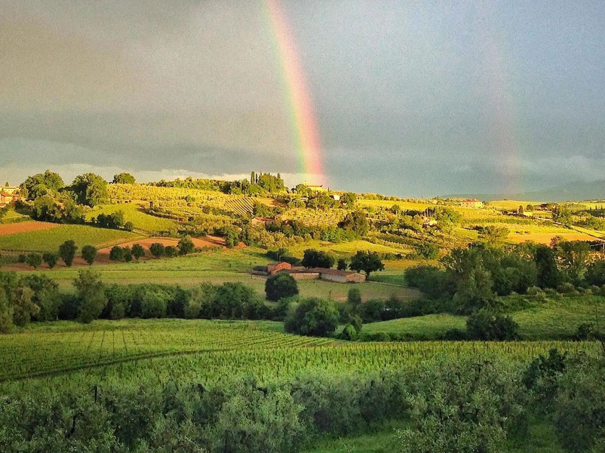 Garden in Agriturismo Sanguineto