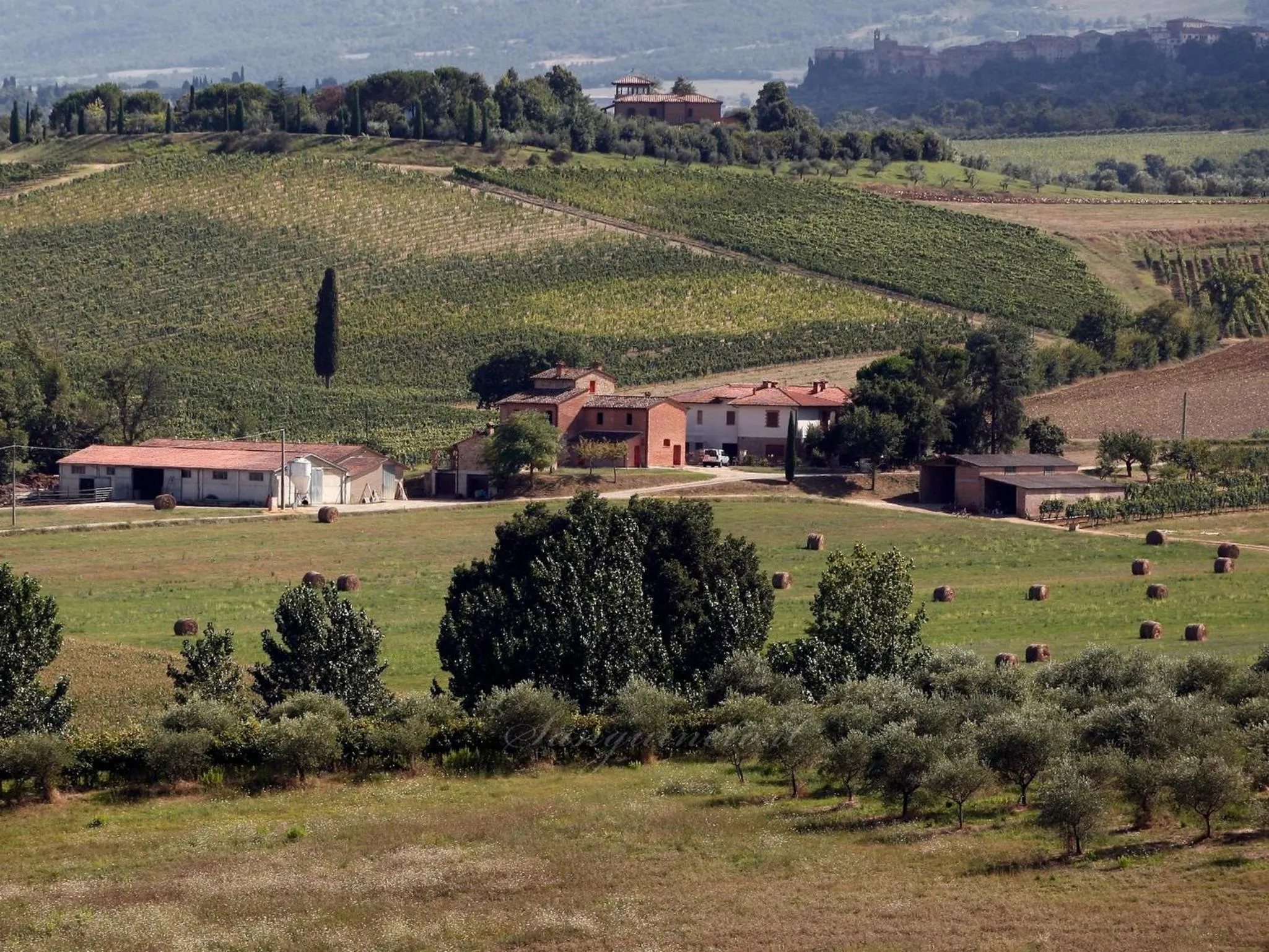 Garden in Agriturismo Sanguineto