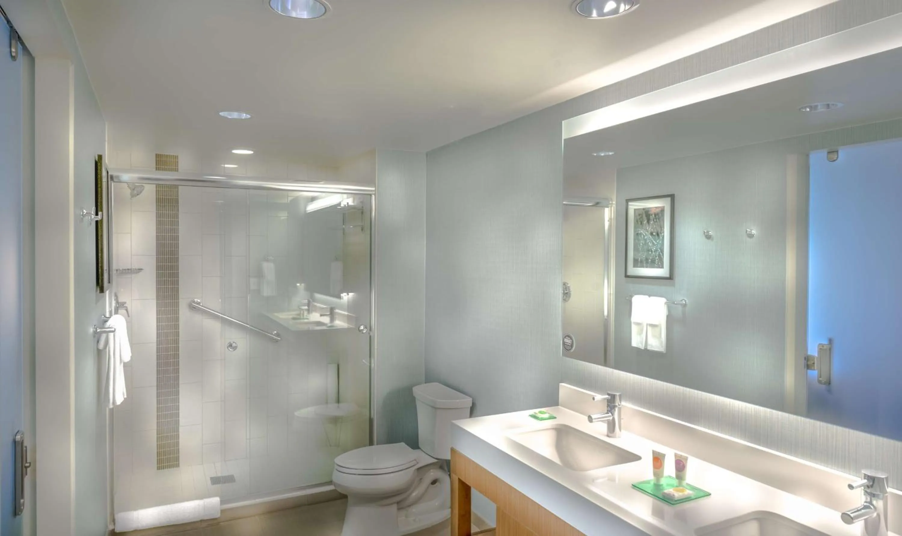 Bathroom in Hyatt Place Washington D.C./National Mall