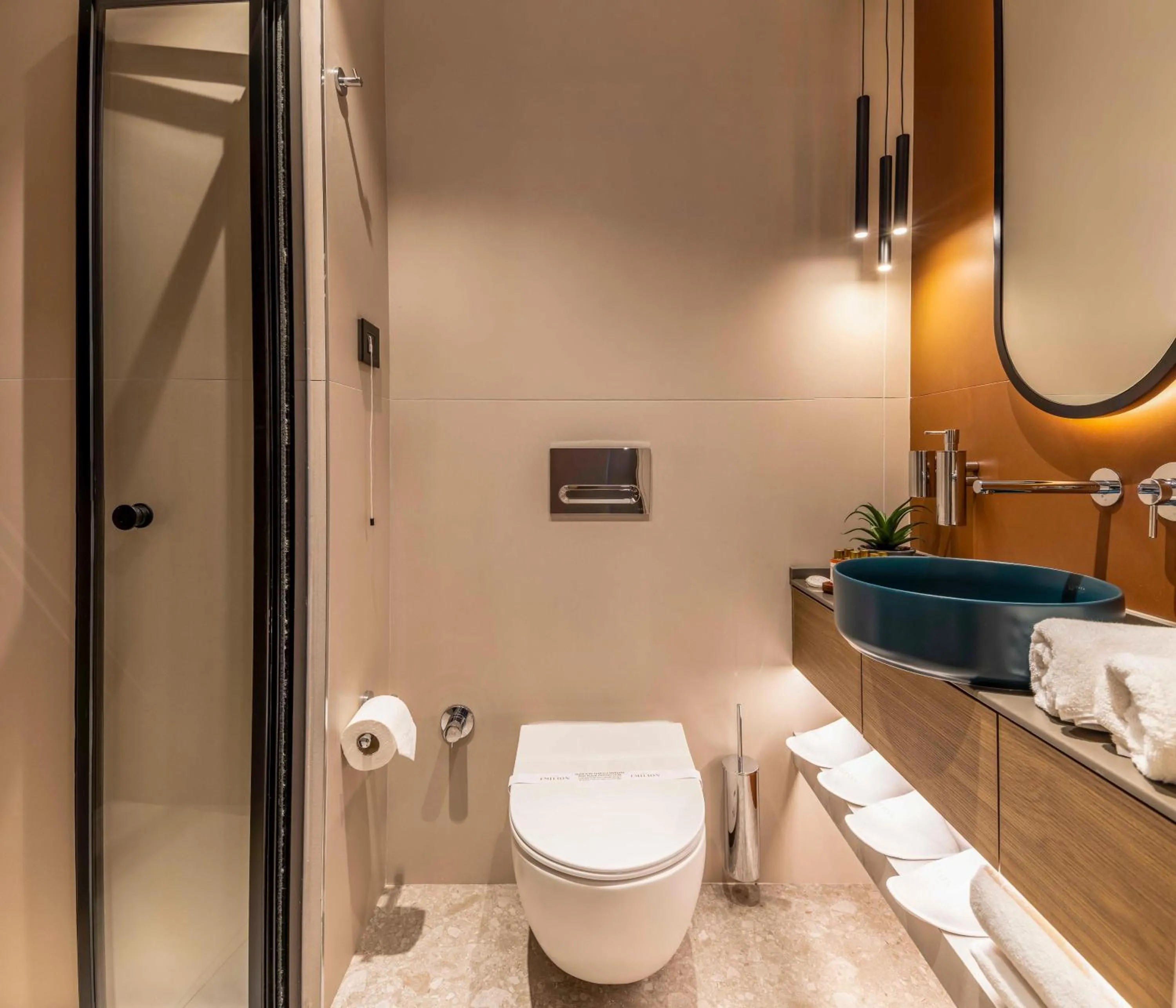 Toilet in Emilion Hotel