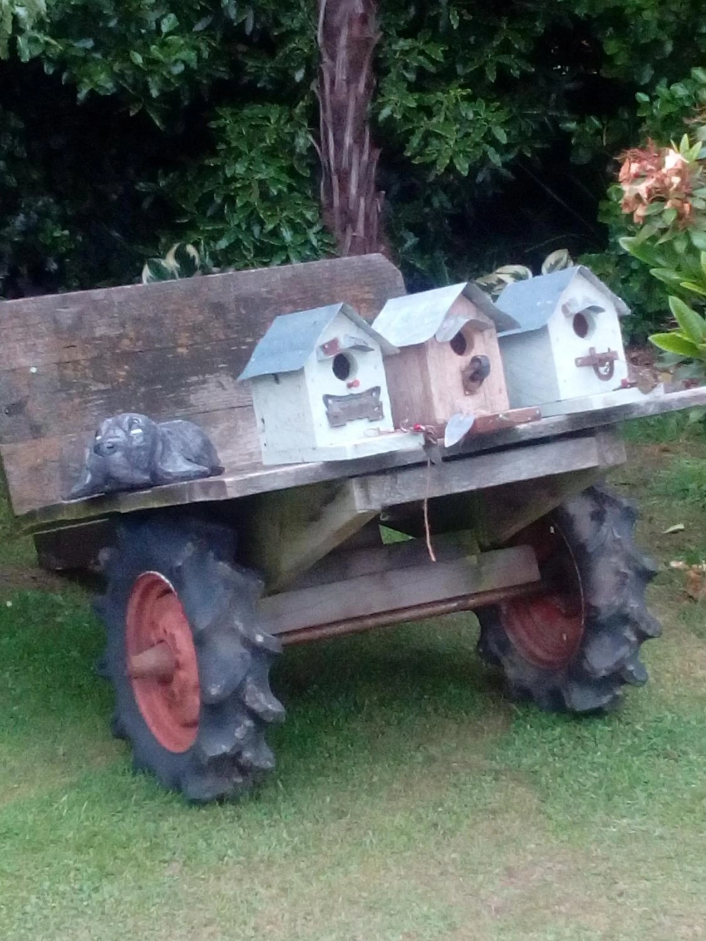 Garden in Four Peaks Motel