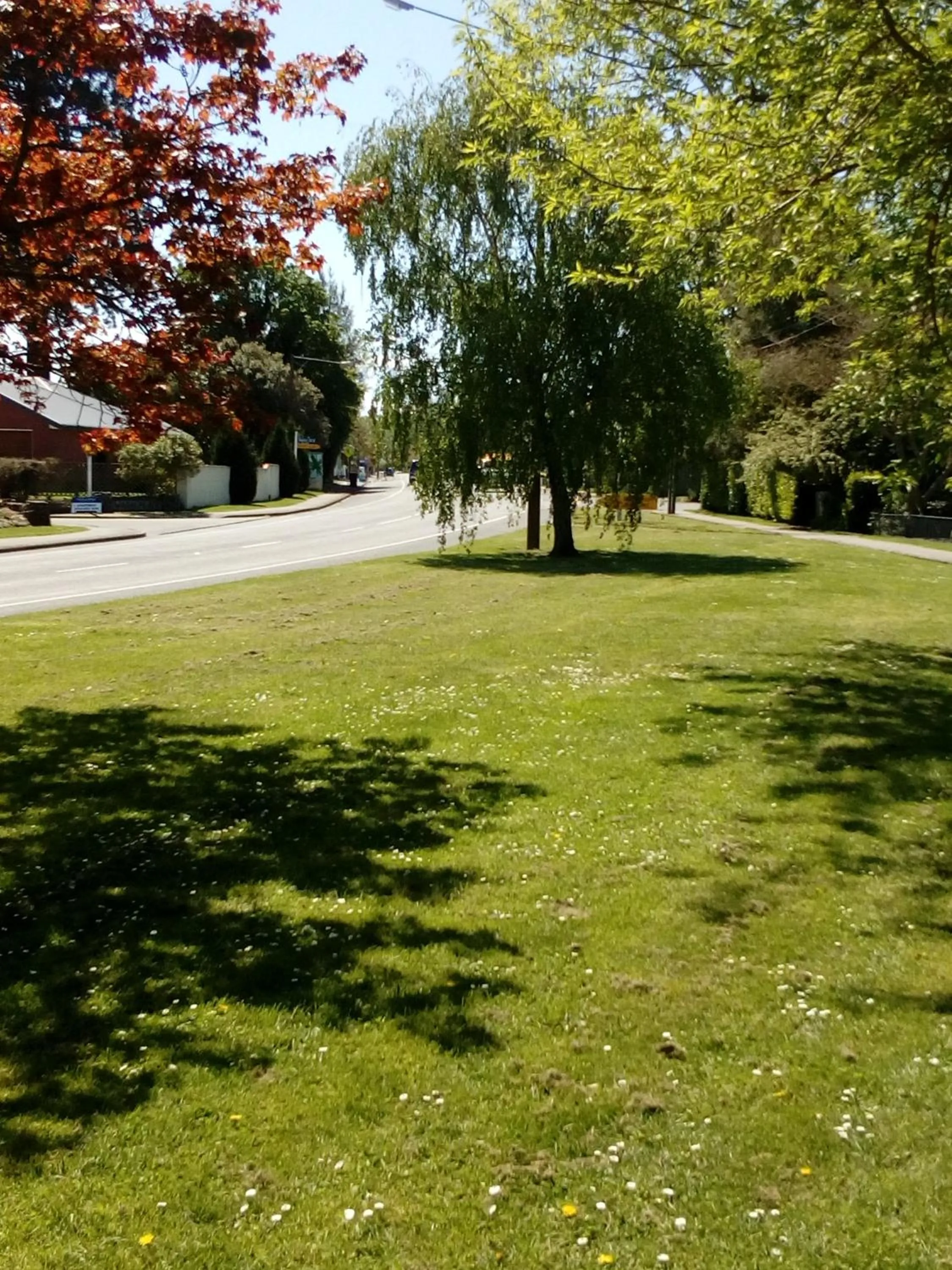 Street view in Four Peaks Motel