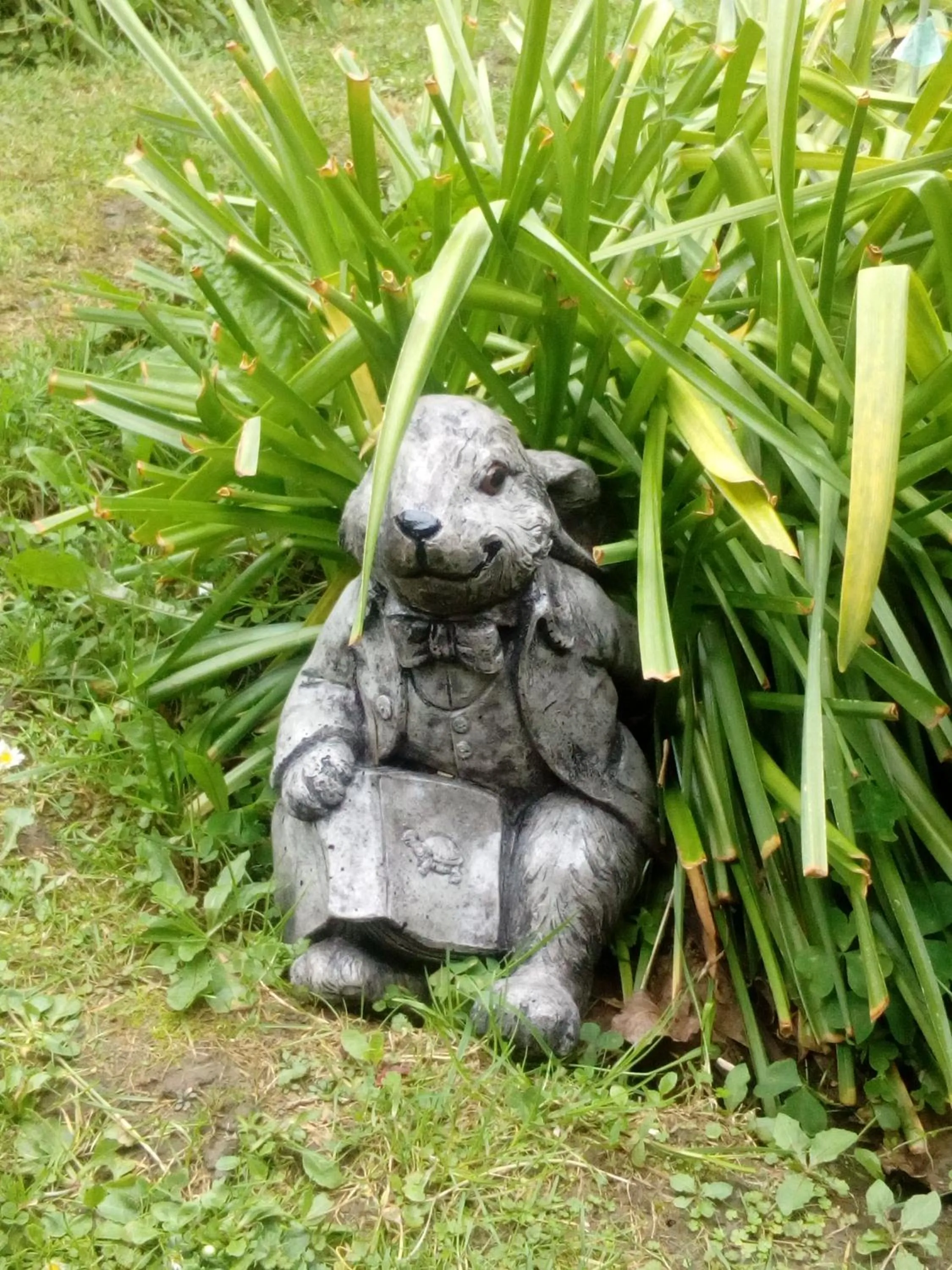 Garden in Four Peaks Motel
