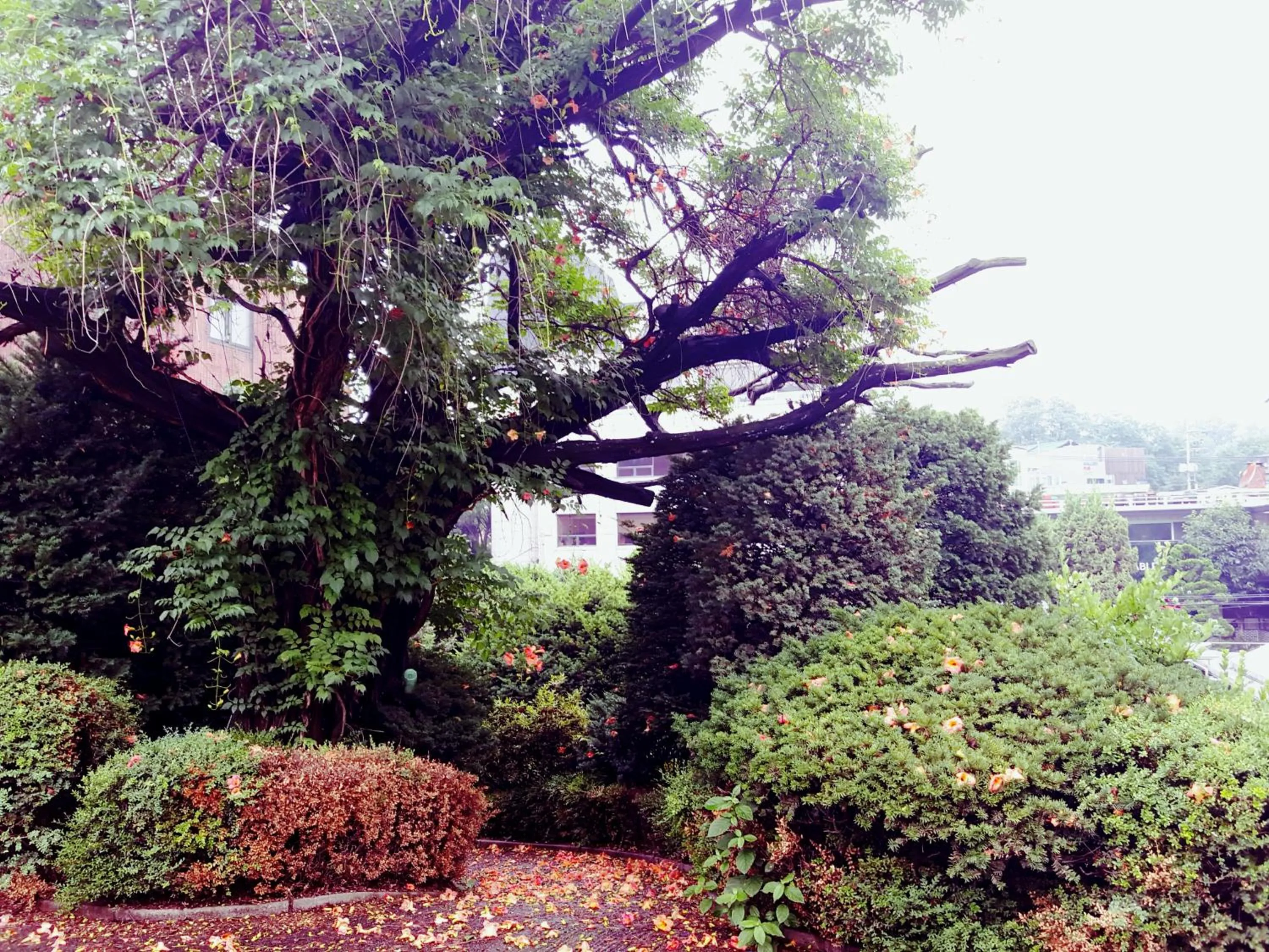 Lydia Craft Guesthouse