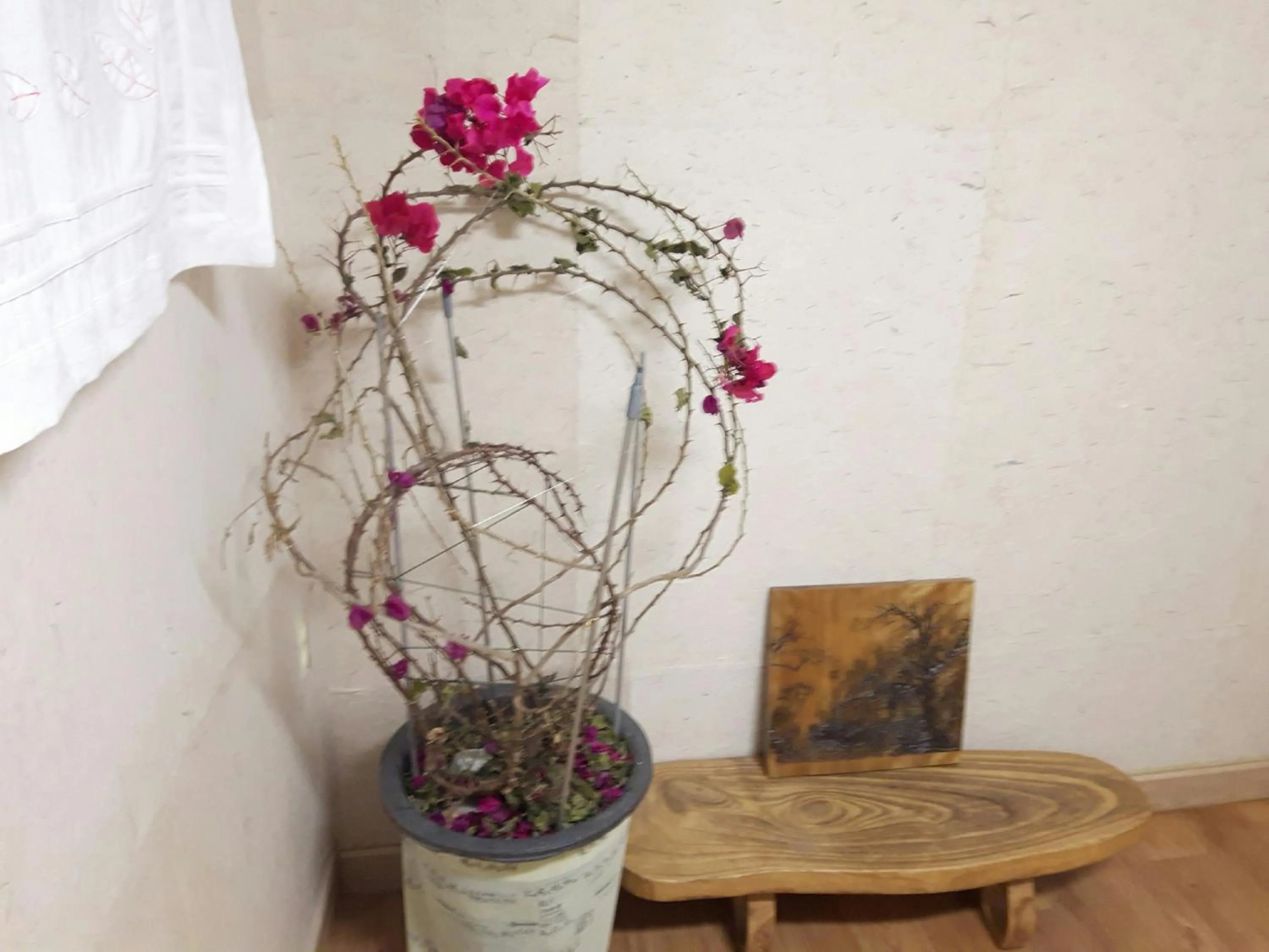 Lydia Craft Guesthouse