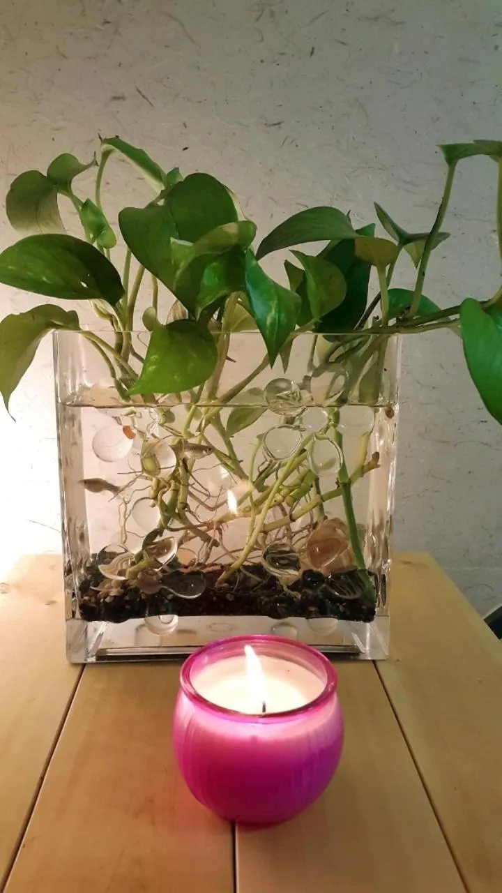 Other in Lydia Craft Guesthouse