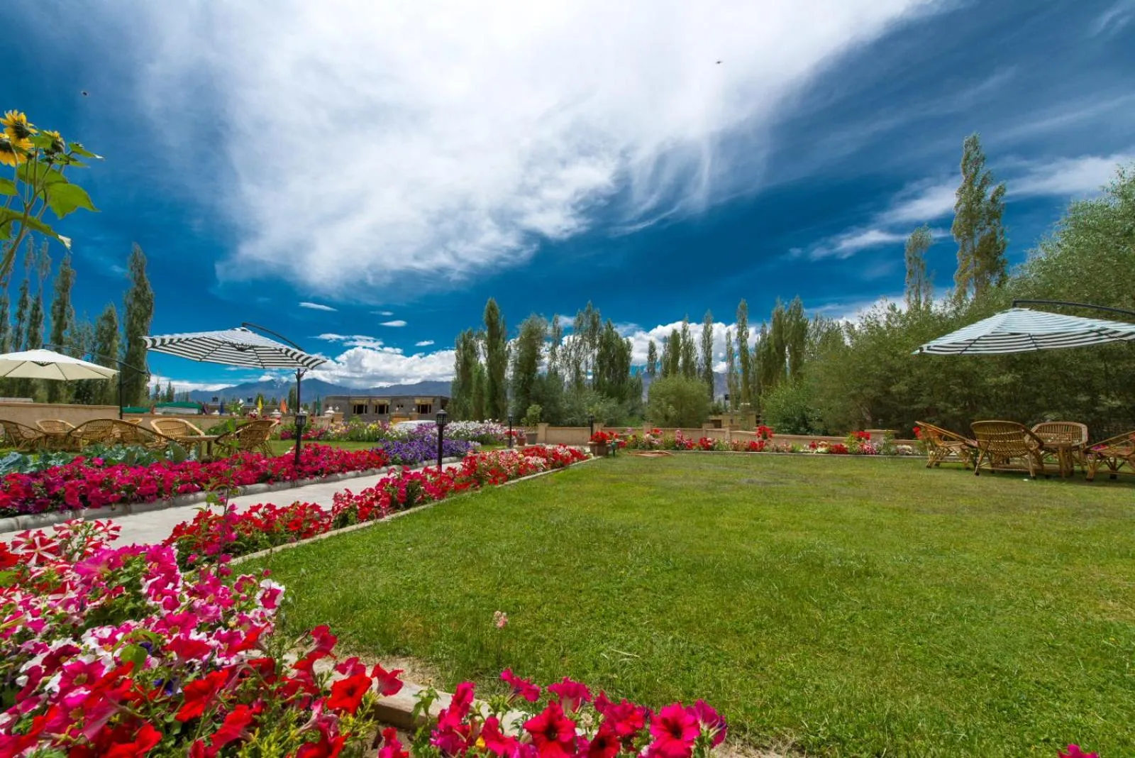 Garden in The Saraha