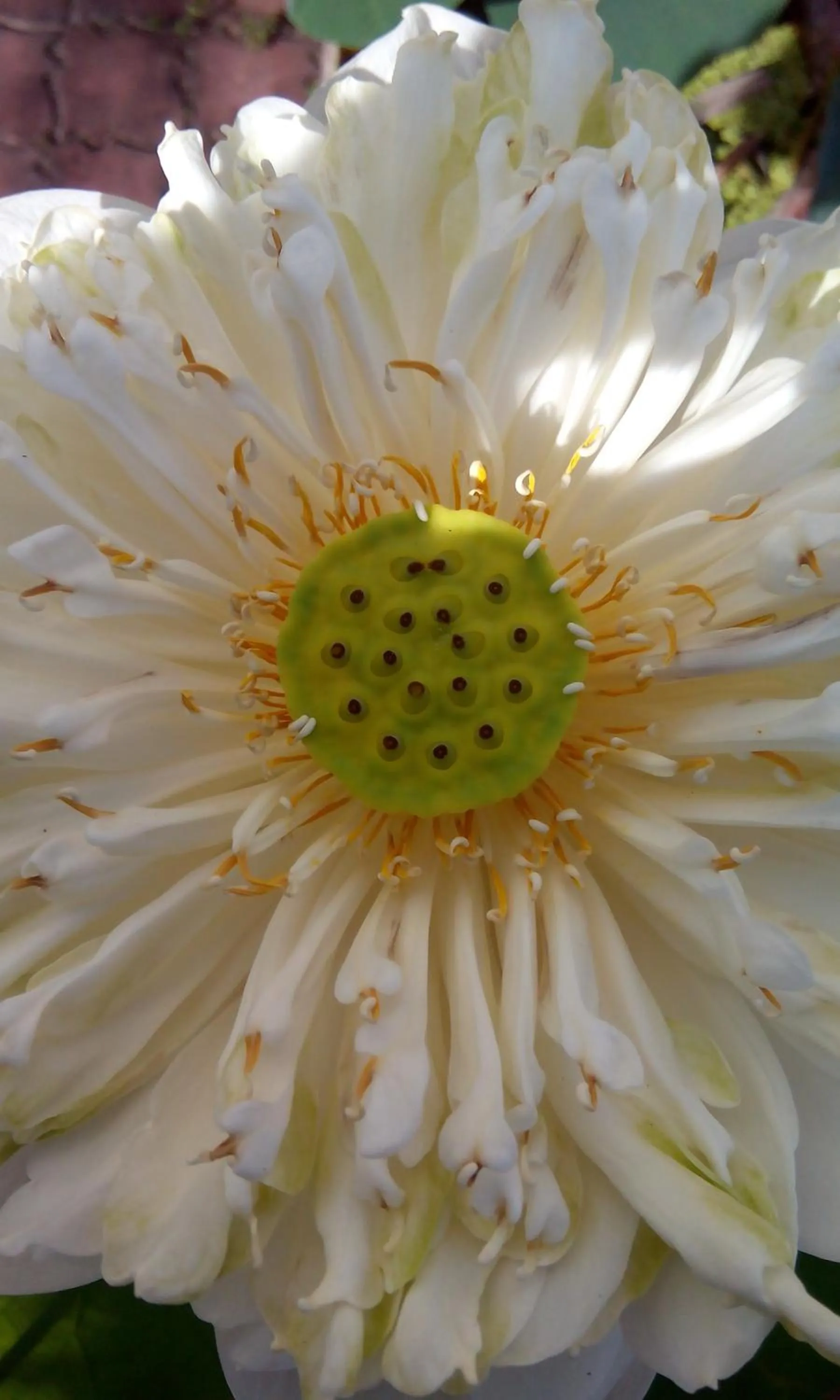 Decorative detail in Hotel Sri Garden Sdn. Bhd.